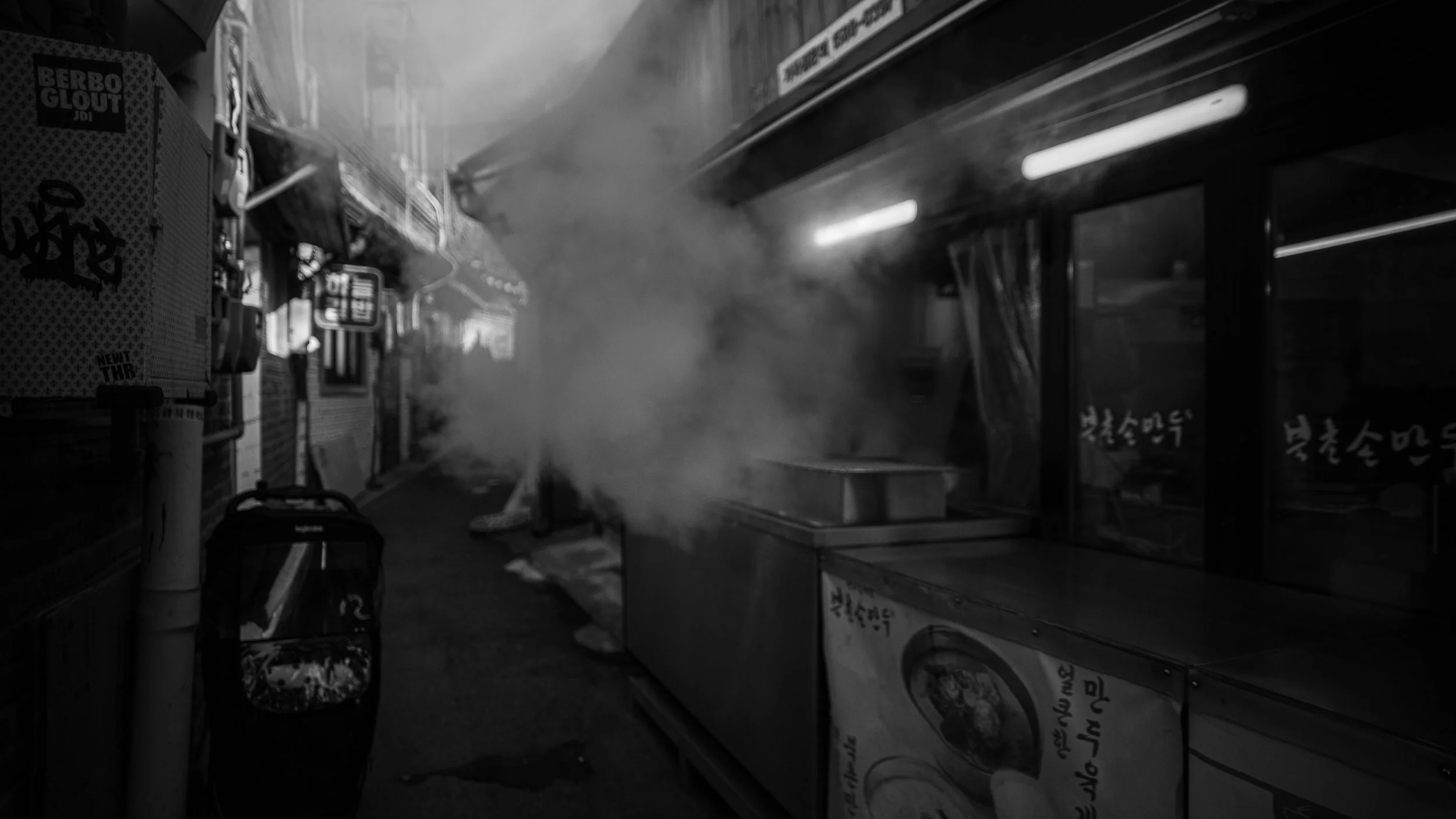 seoul_cooking_steam_closeup.jpg