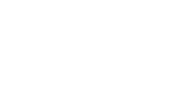 Australian and New Zealand Association of Neurologists (ANZAN).png