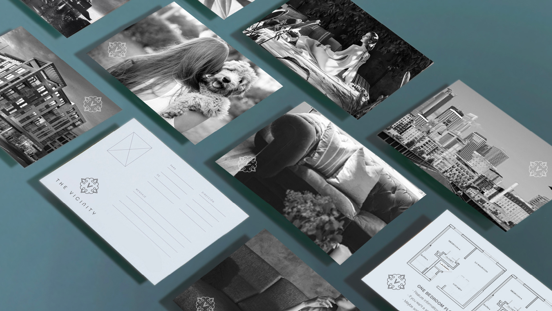 the vicinity print.png