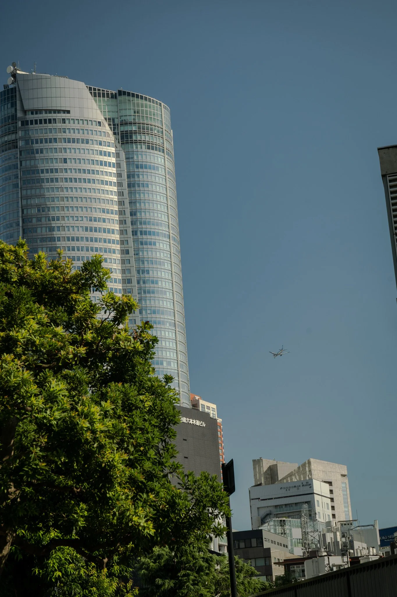 DSC09618.jpg
