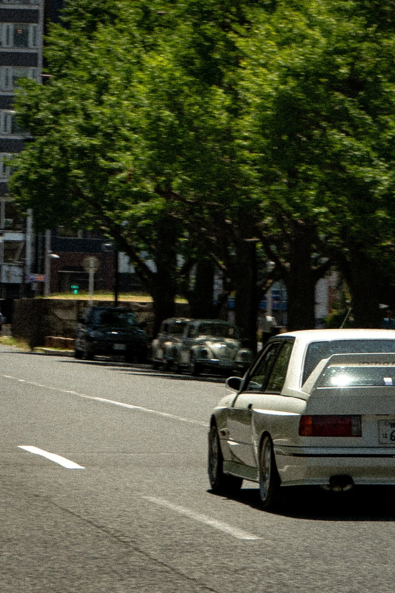 DSC00080.jpg