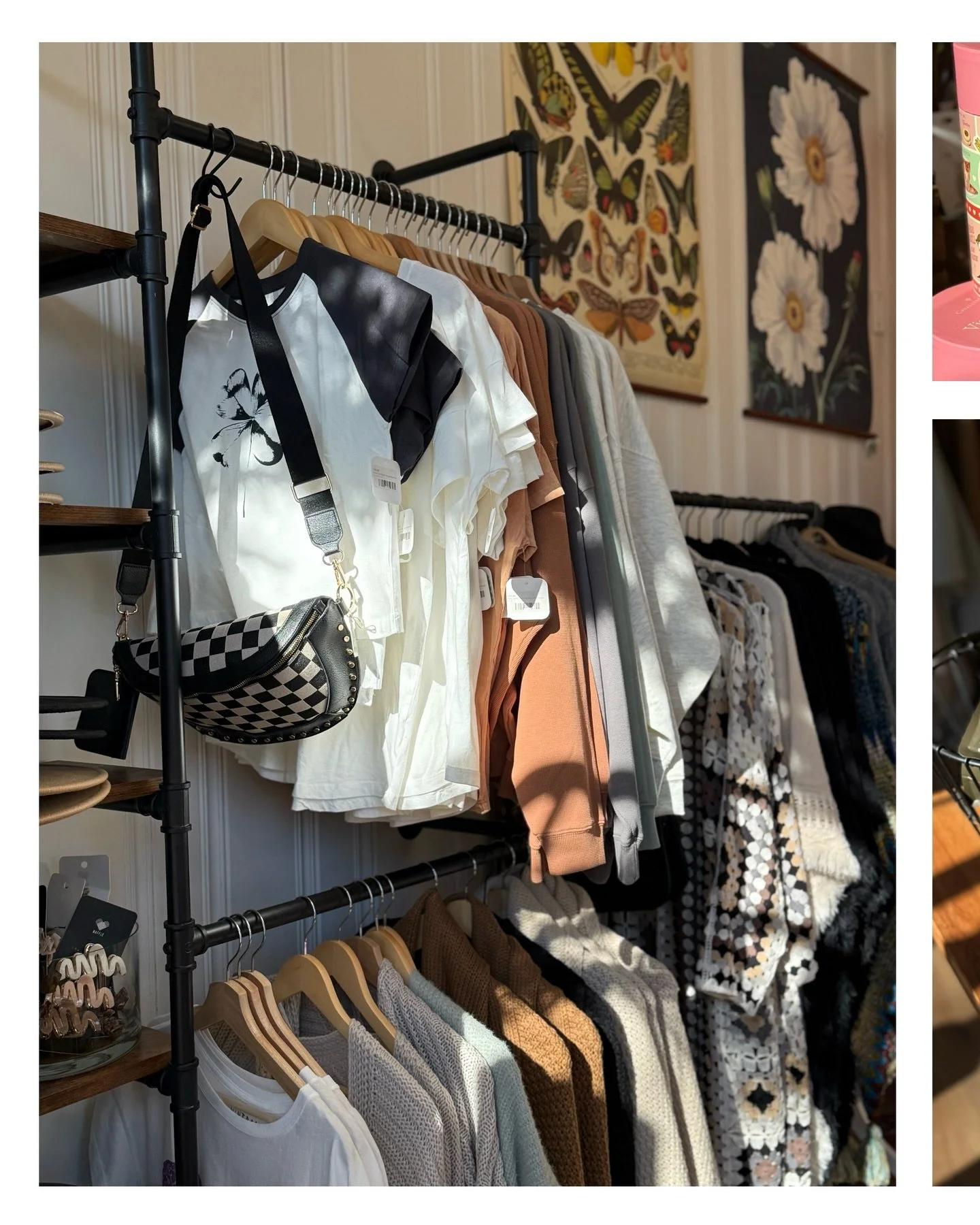 Snapshots from this week 📸 Open today 10-5!