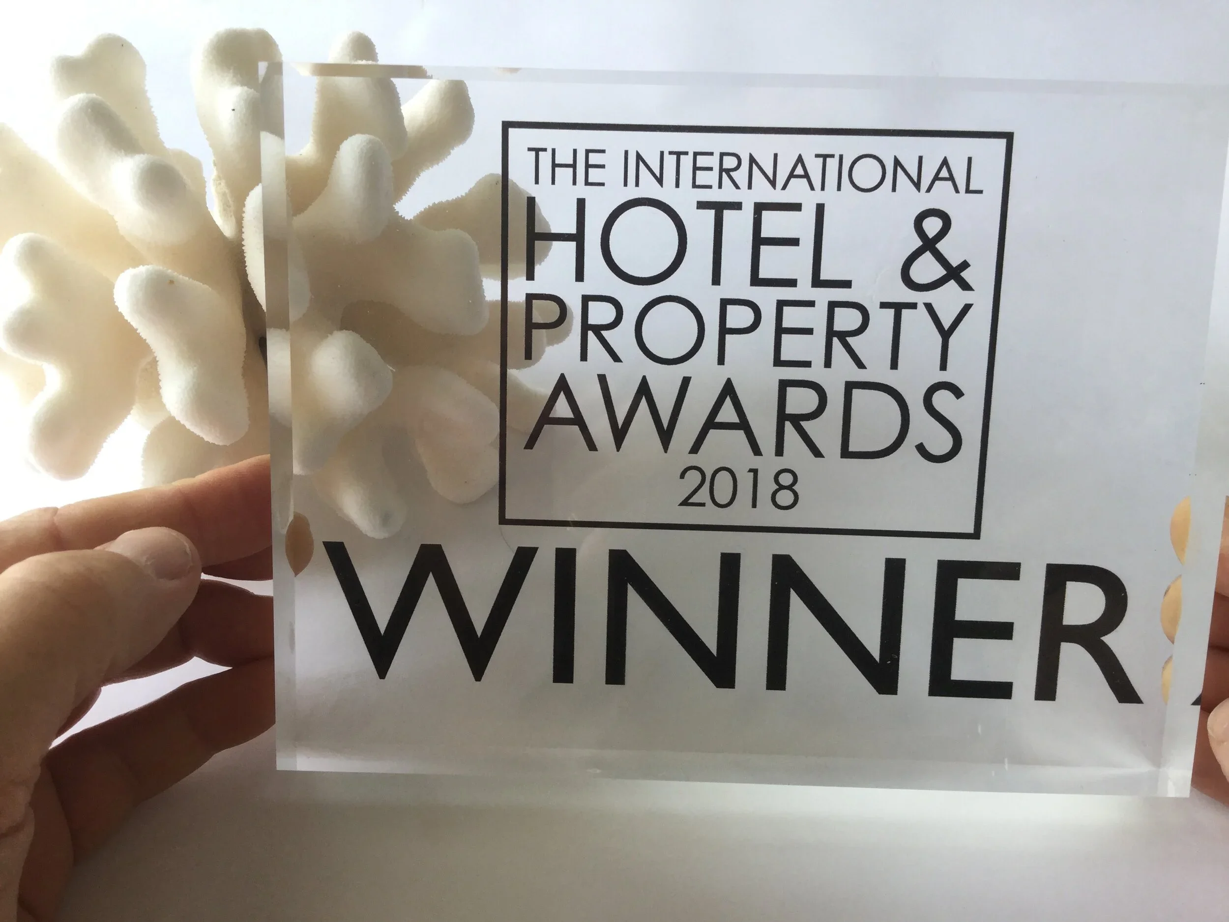 Seafire Resort Grand Cayman 𓆉 Conceptual and Principal Designers