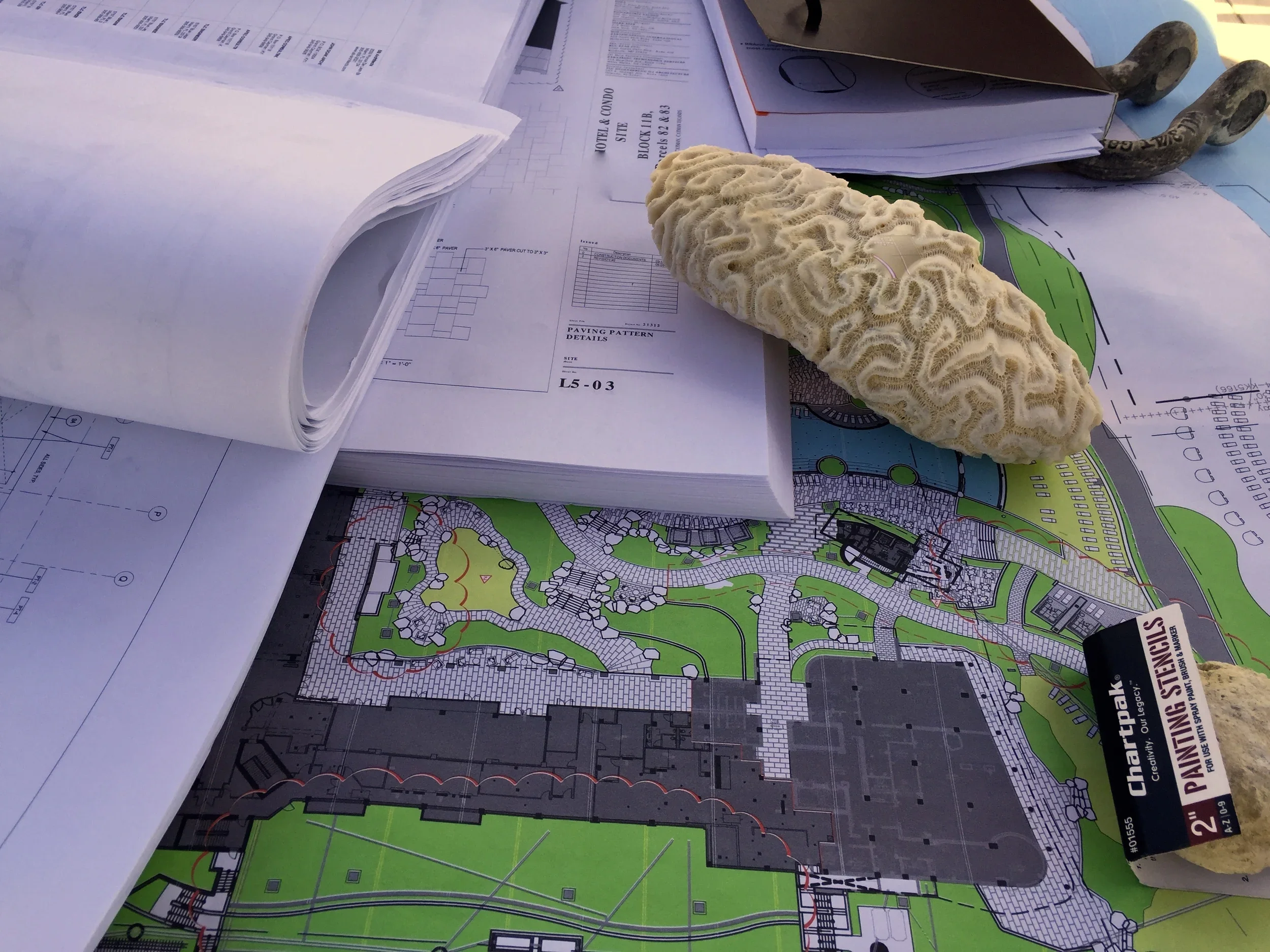 Seafire Resort Grand Cayman 𓆉 Conceptual and Principal Designers