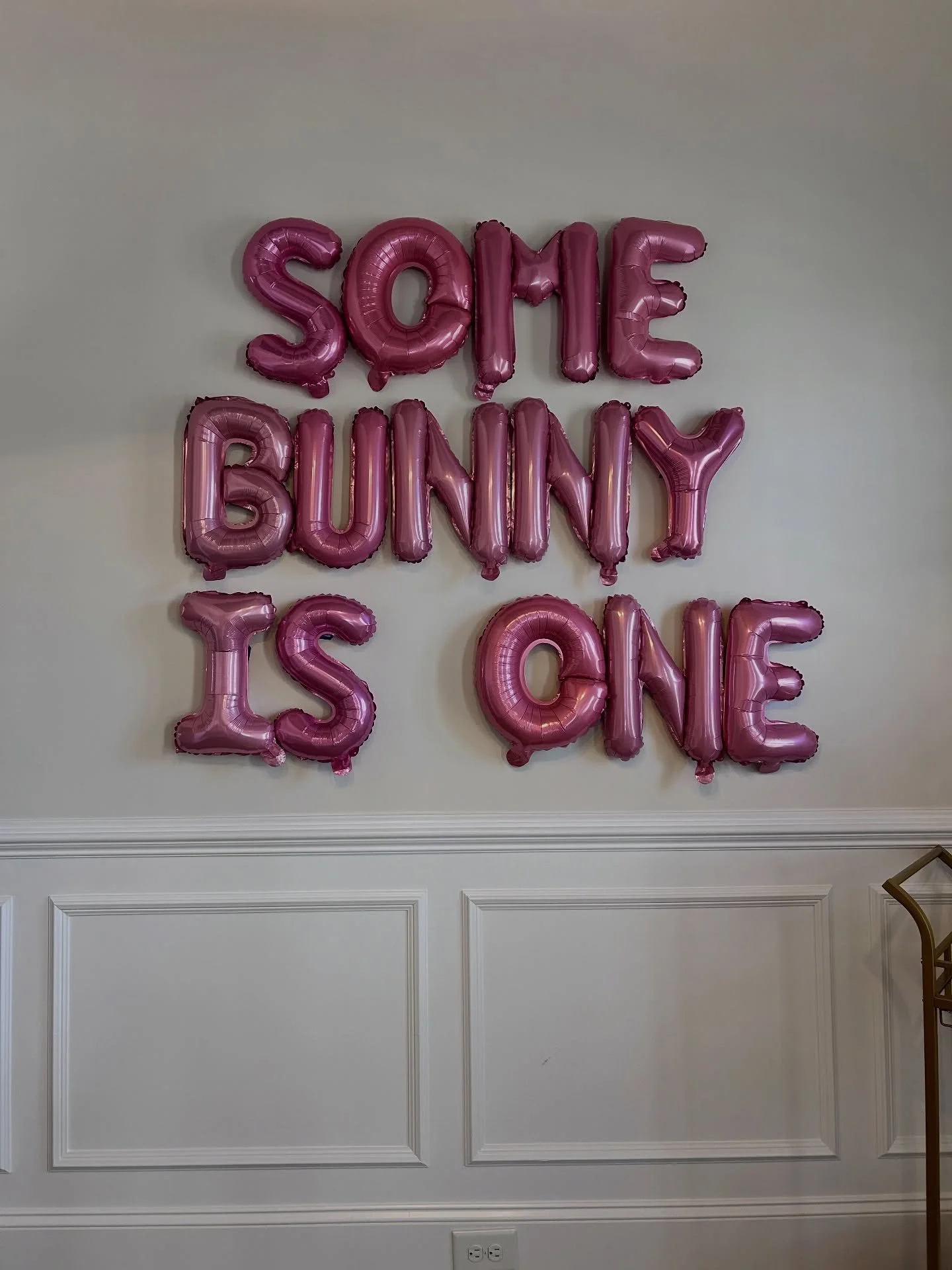 This  lil Bunny turned ONE is December! 
Celebrating these milestones with y&rsquo;all is the sweetest!! 

#greenvillenc #ecupirates #greenvilleballoons #greenvillemarquees #stellarmarquees