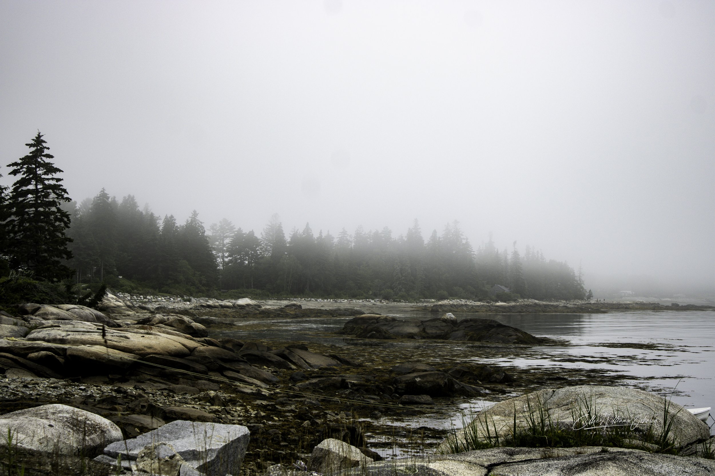 Fog Along the Shore
