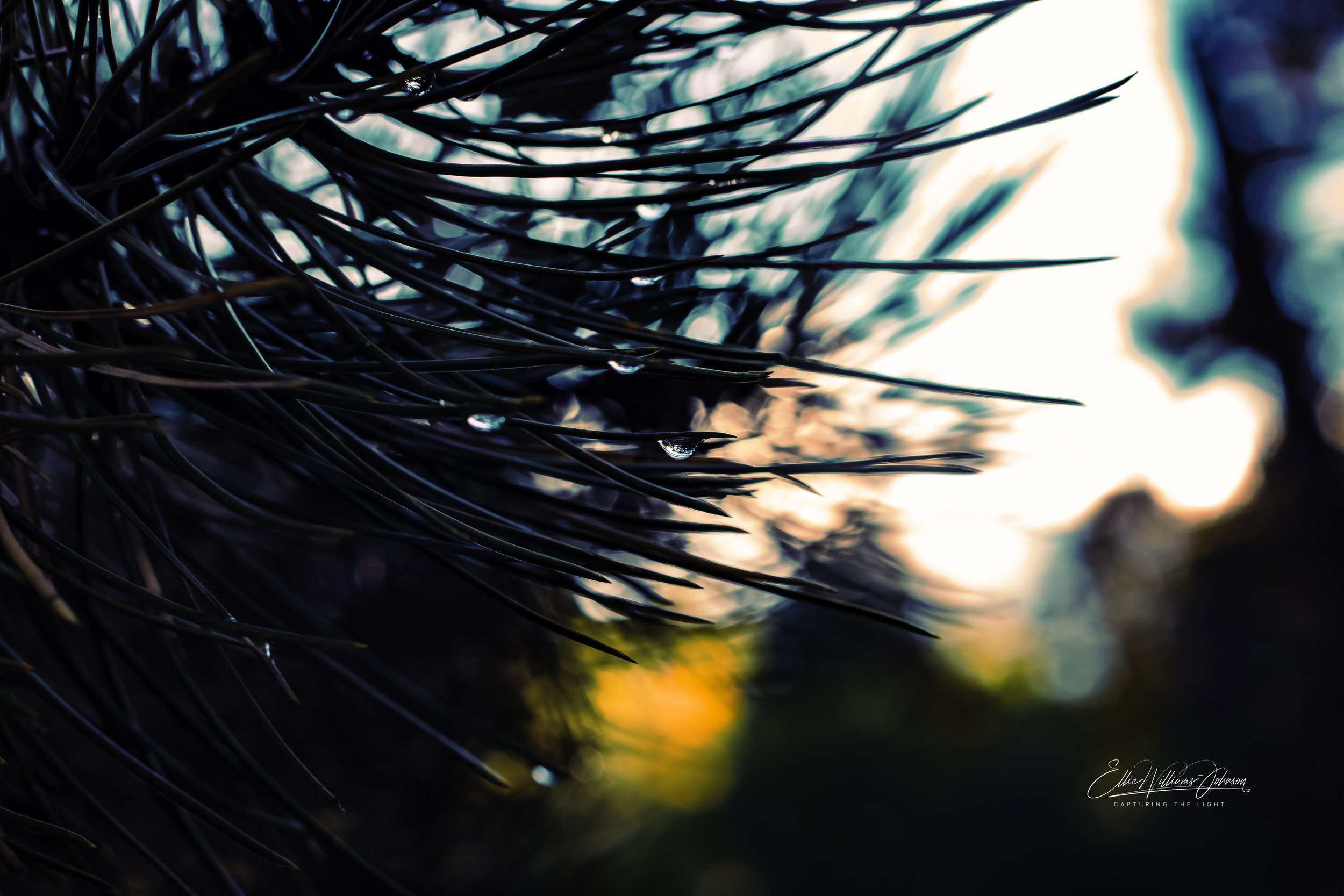 After the Storm Glow