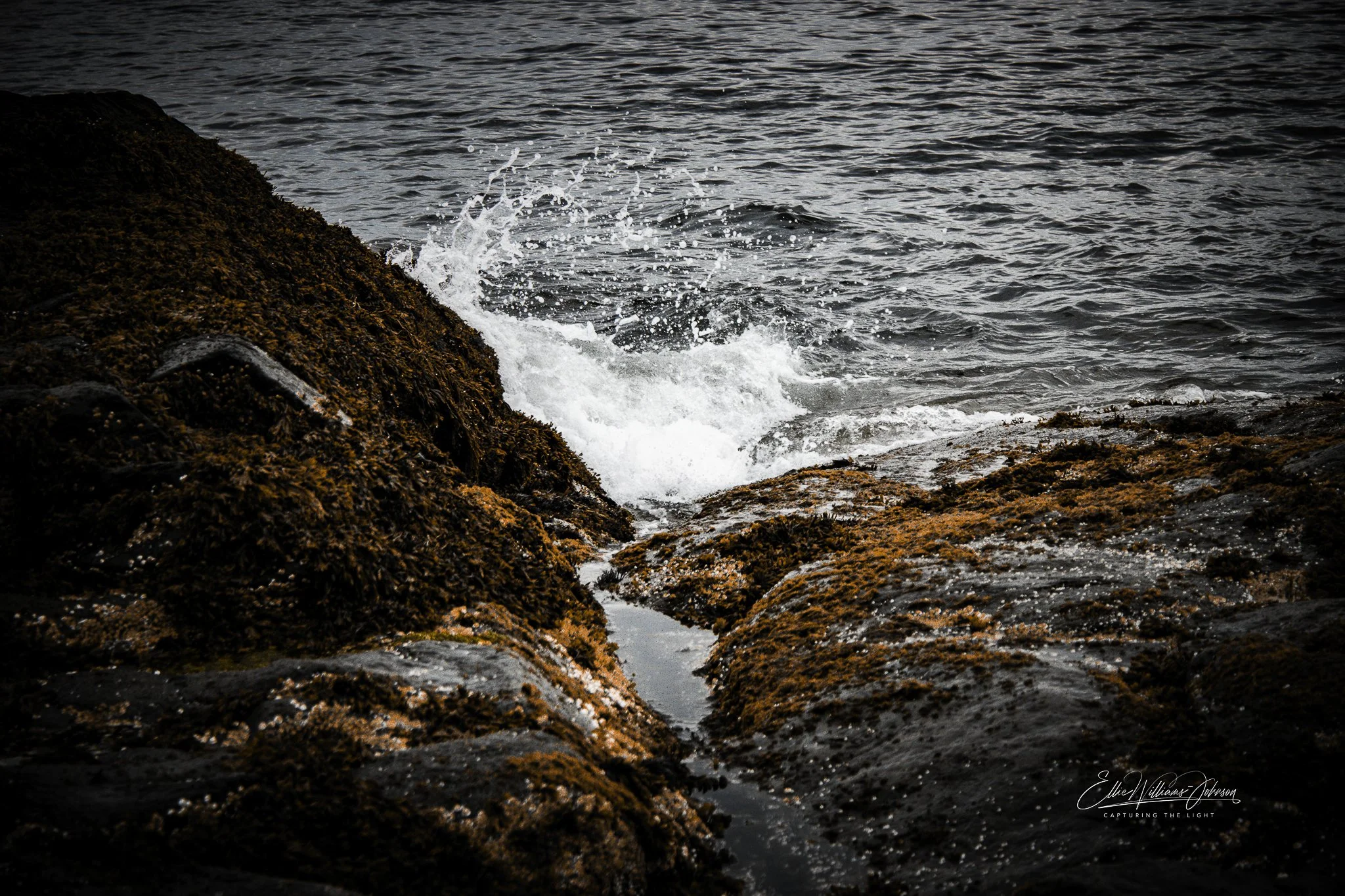 The Break of the Sea