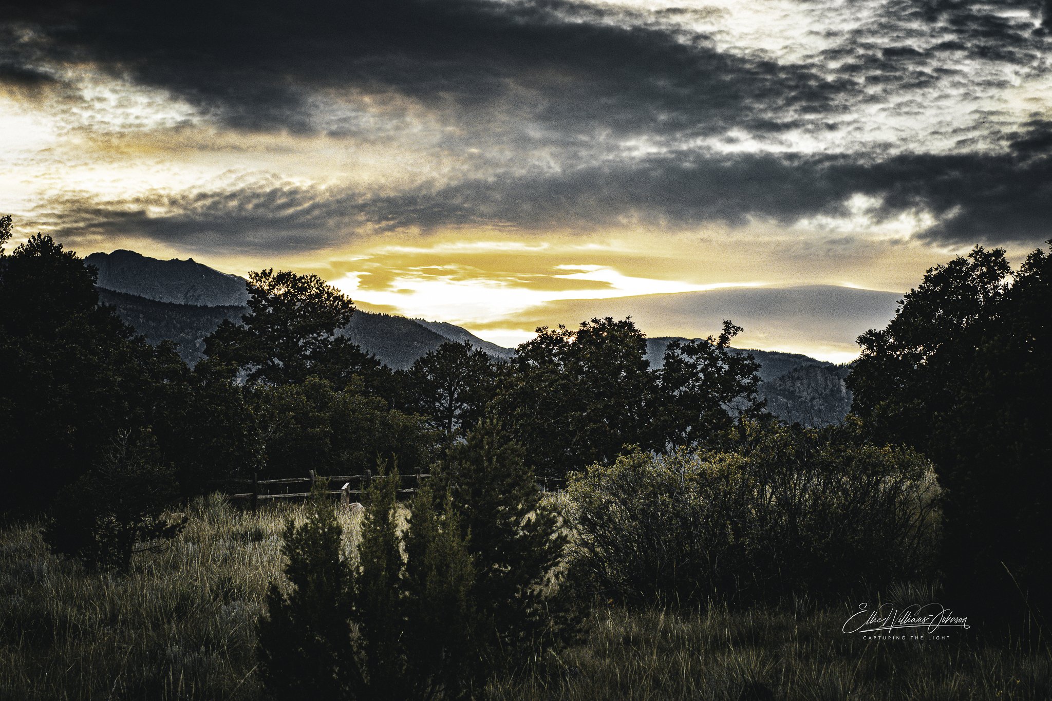 Twilight Over the Garden-2.jpg