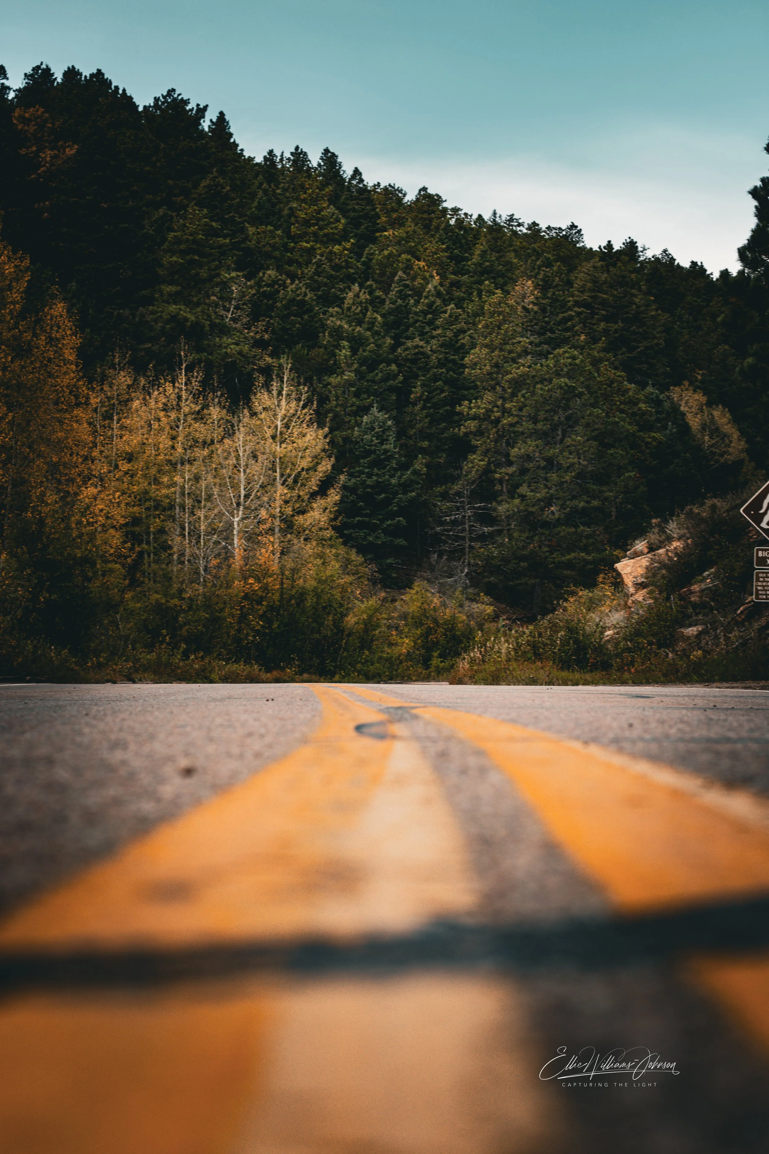 Yellow Line to Forever