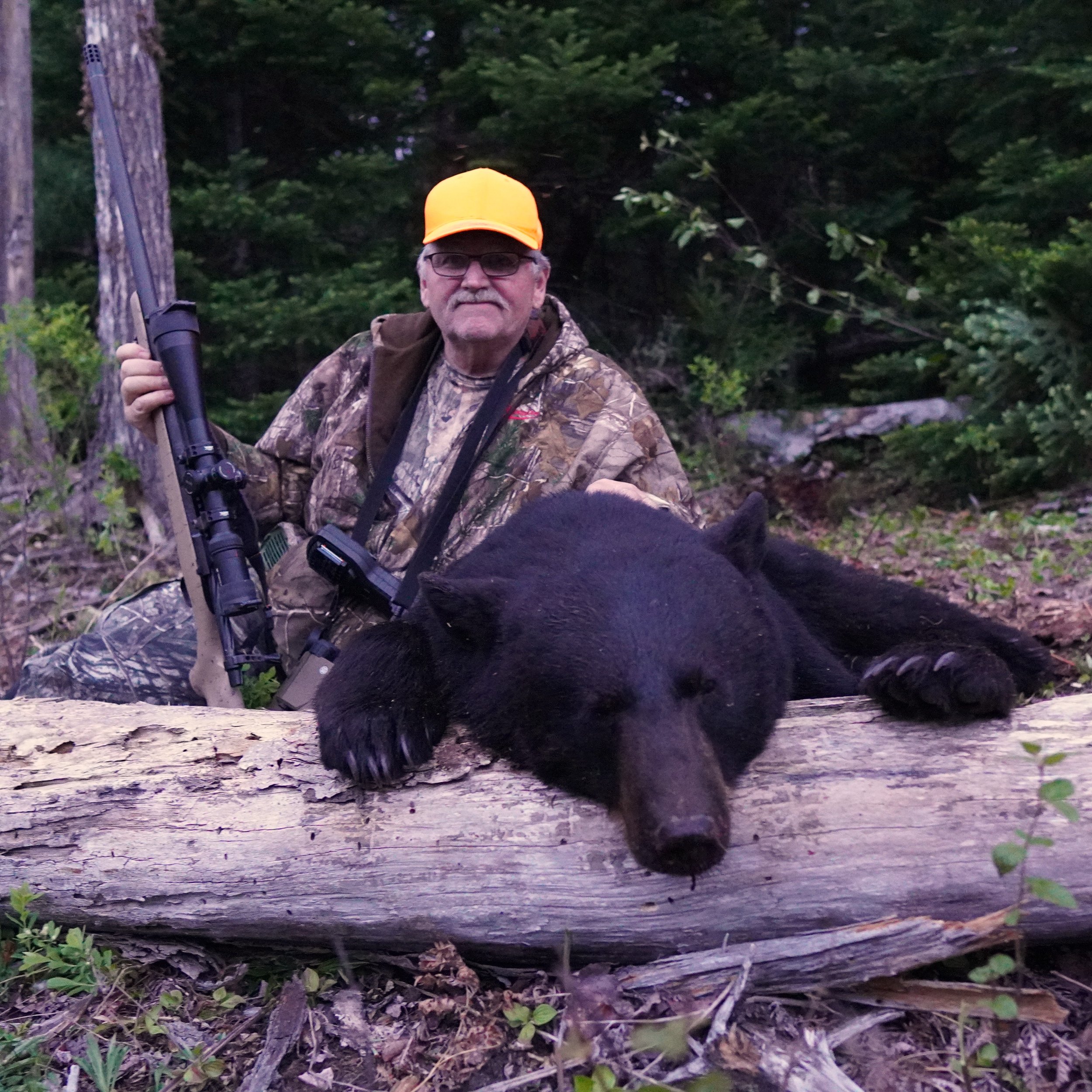 bear (4).JPG