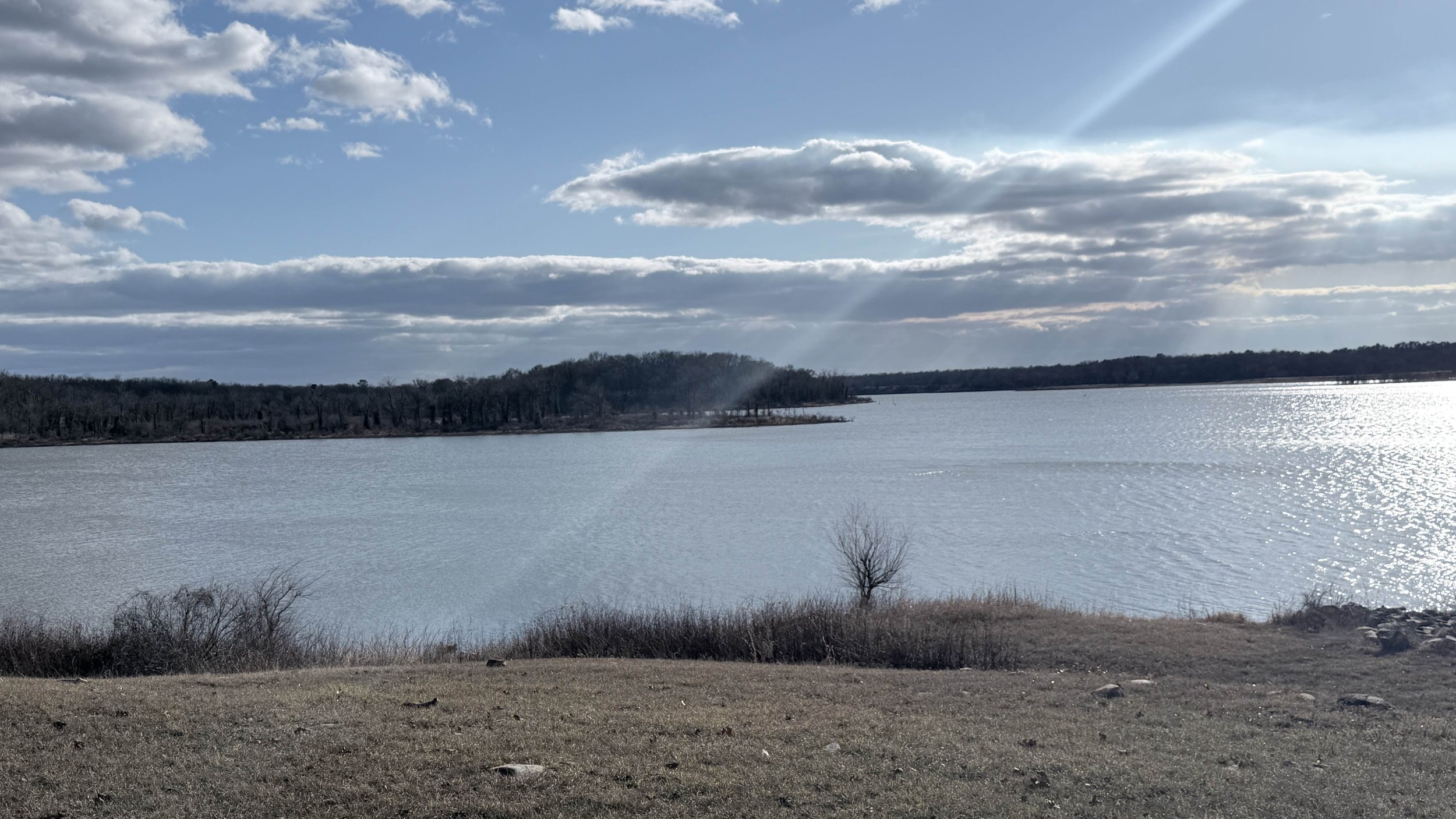 A lakeside scene on a partly cloudy day with a view of a calm lake, distant treeline, and a small solitary tree in the foreground.