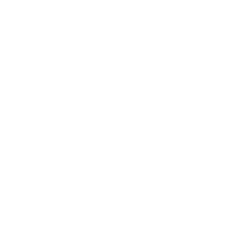 Higher Visual Media Co.