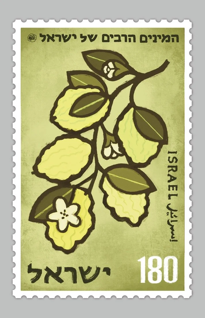 אתרוג (Etrog) — Citron