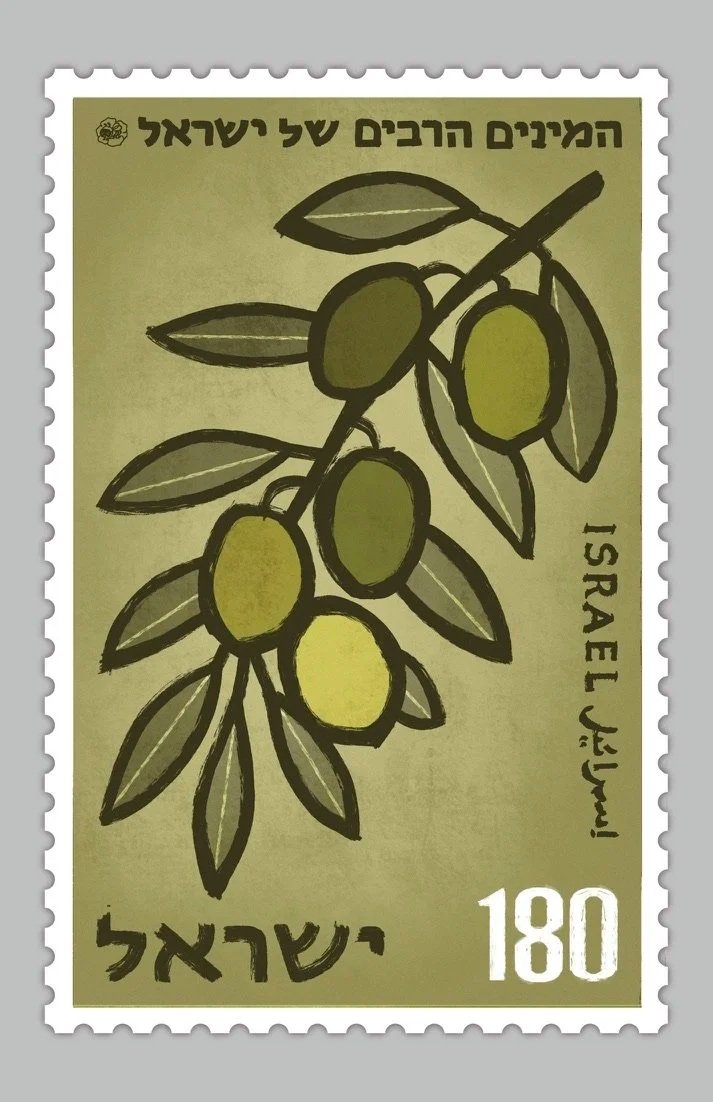 זית (Zayit) — Olive
