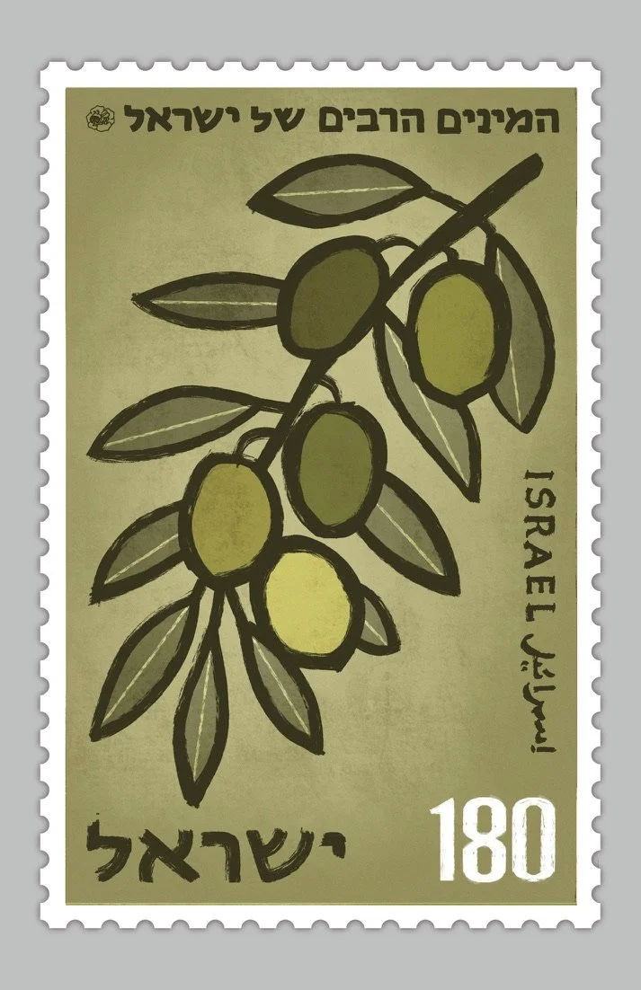 זית (Zayit) — Olive