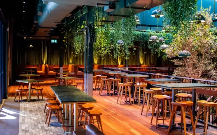 Interior of a modern bar or restaurant with wooden tables and stools, hanging plants, pendant lights, and a cozy seating area with cushioned benches.