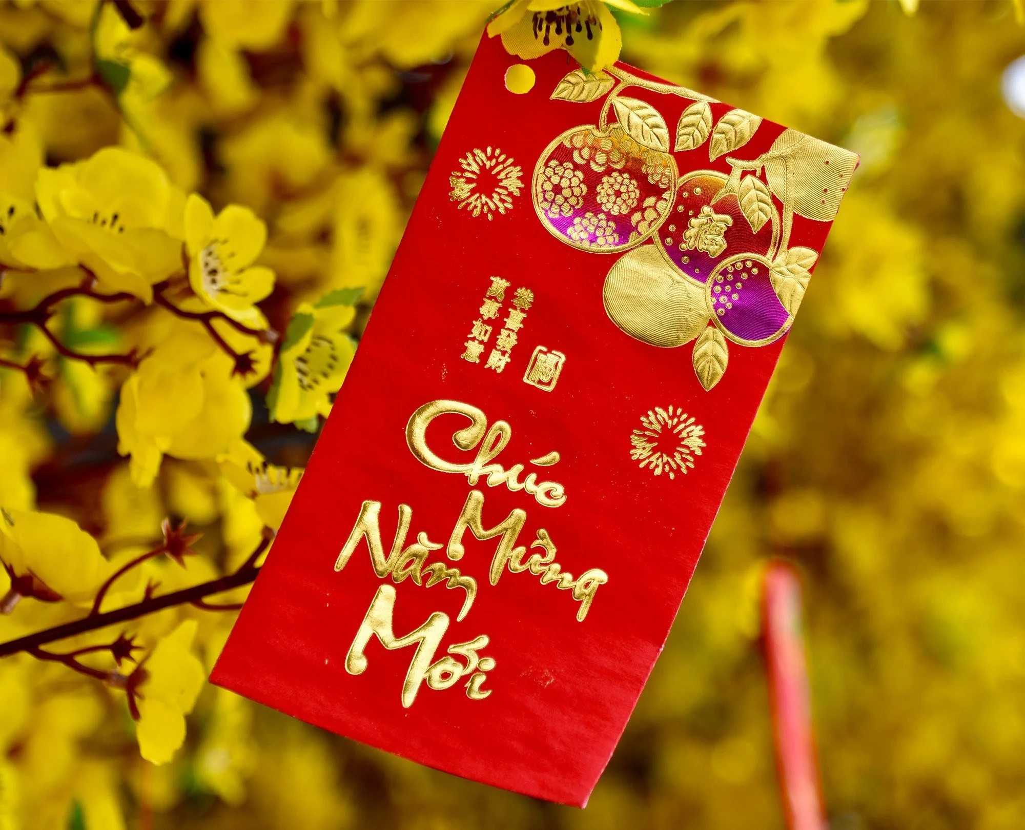 Tết: A New Year, A New Beginning