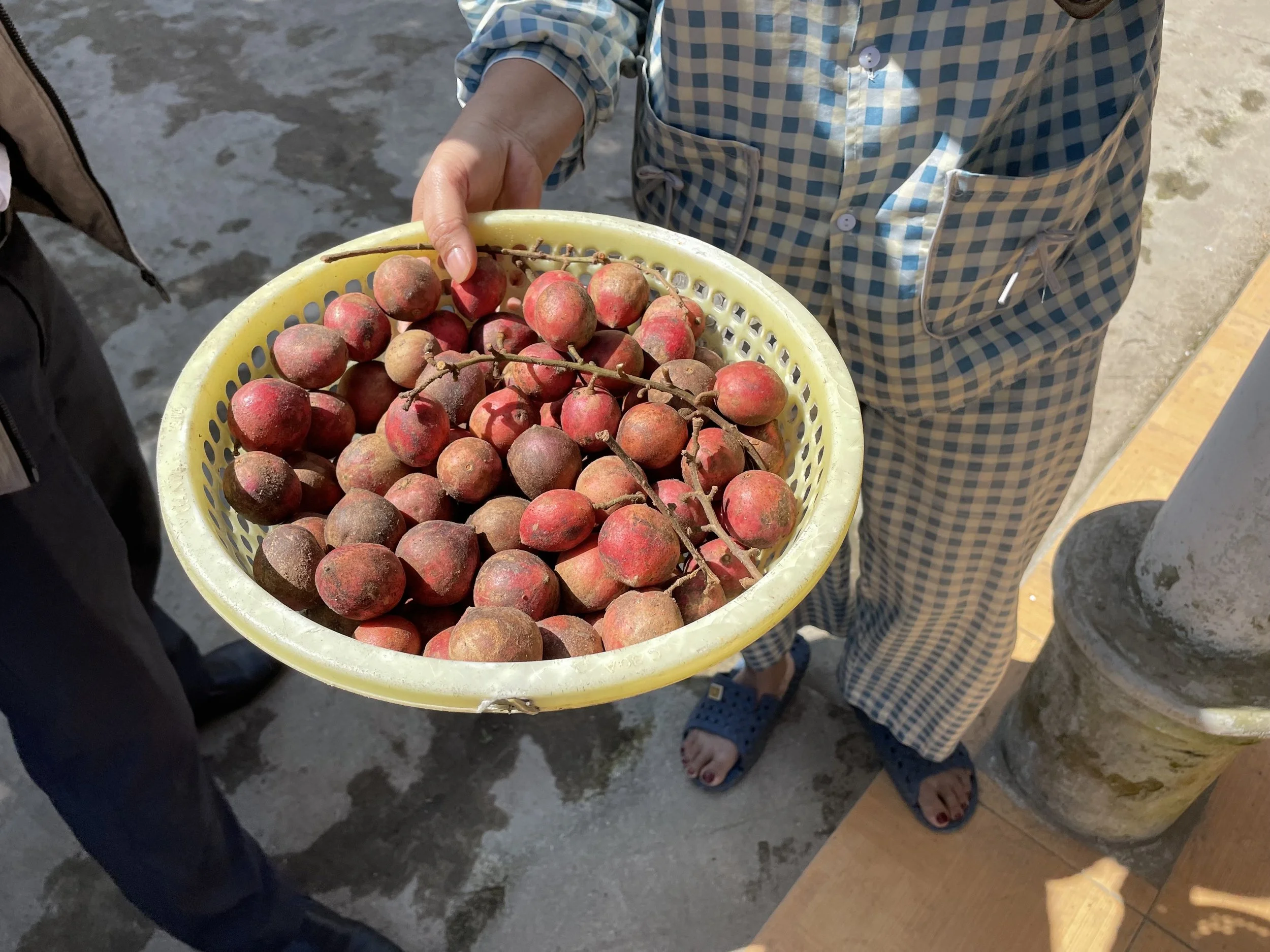 A Place of Dignity: The Nguyen Family’s Hope for Health