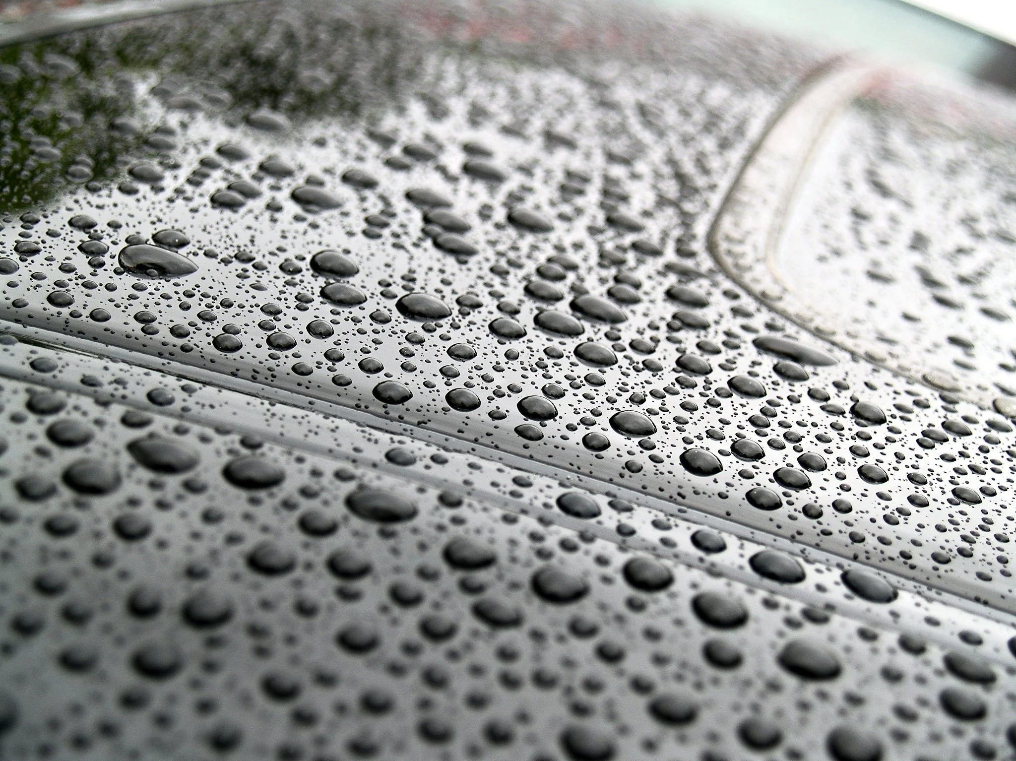 Close-up of a car's black paint with water beading from ceramic coat