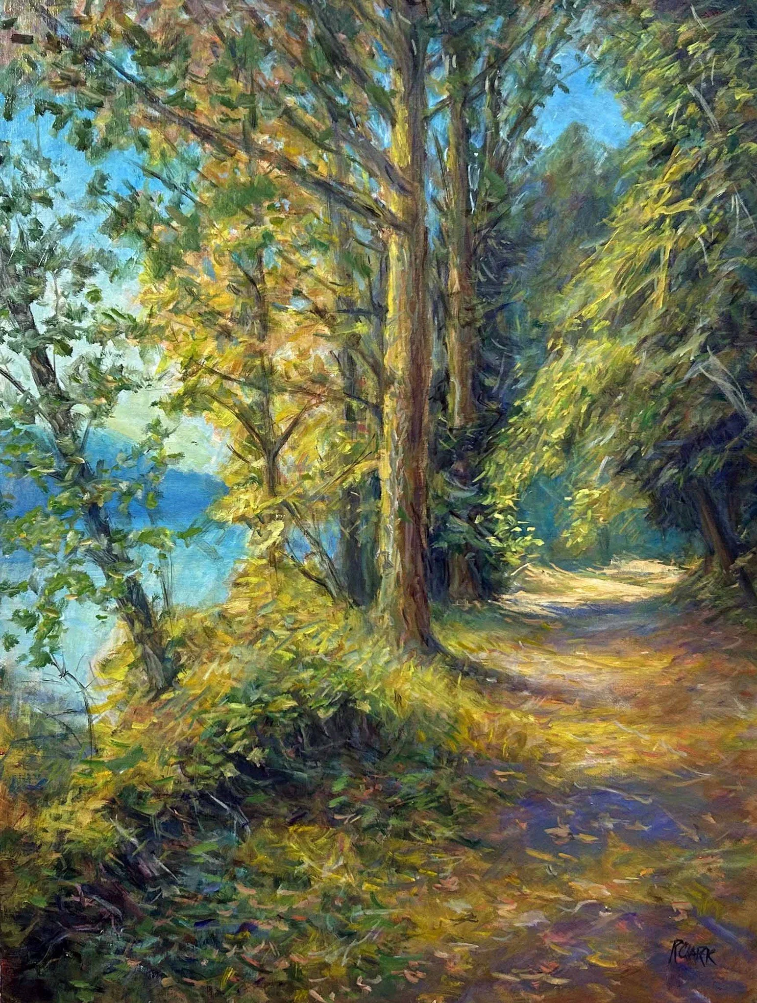 Sunbeams on the Hertz Trail