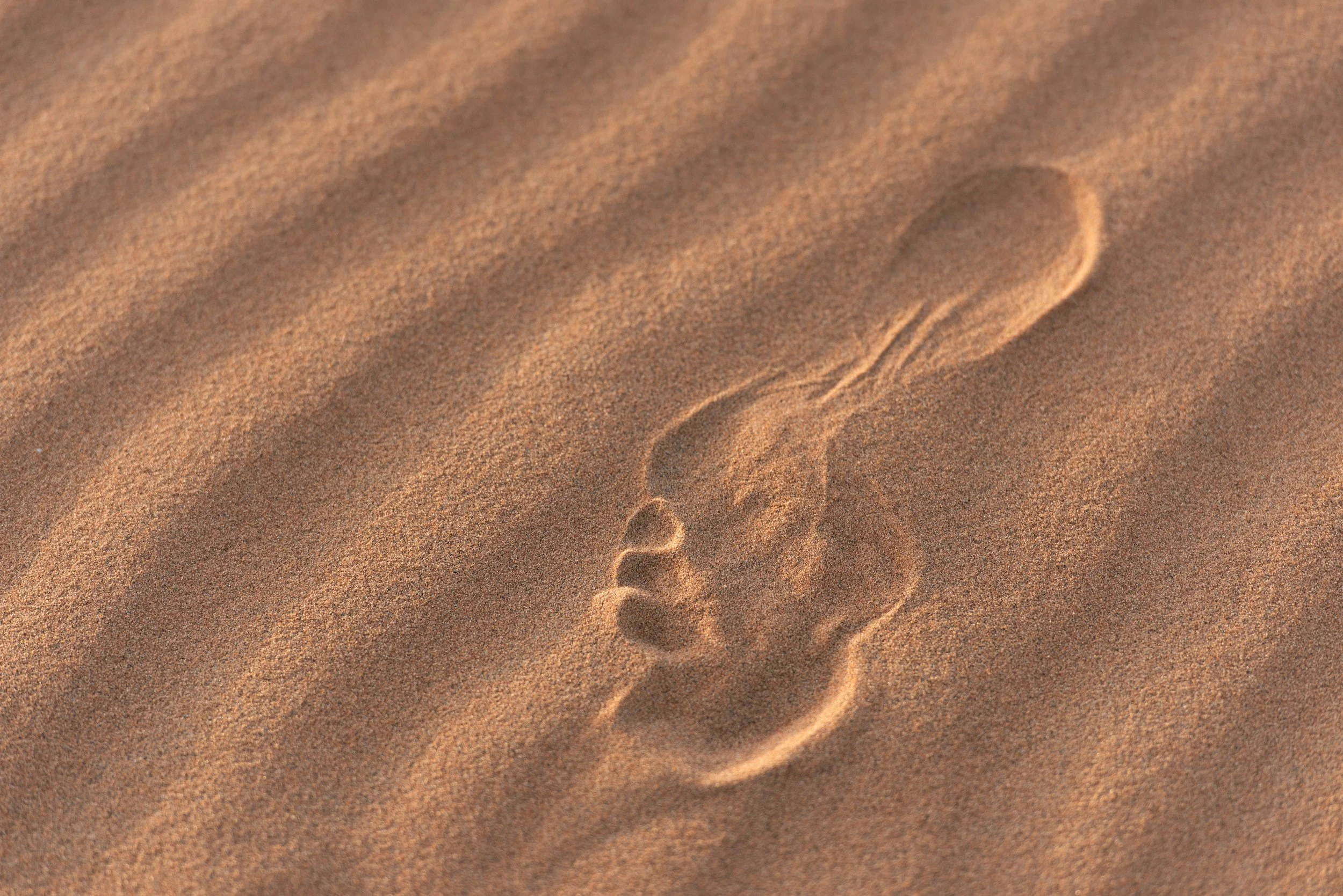 The Power of Drawing the Line in Business Strategy