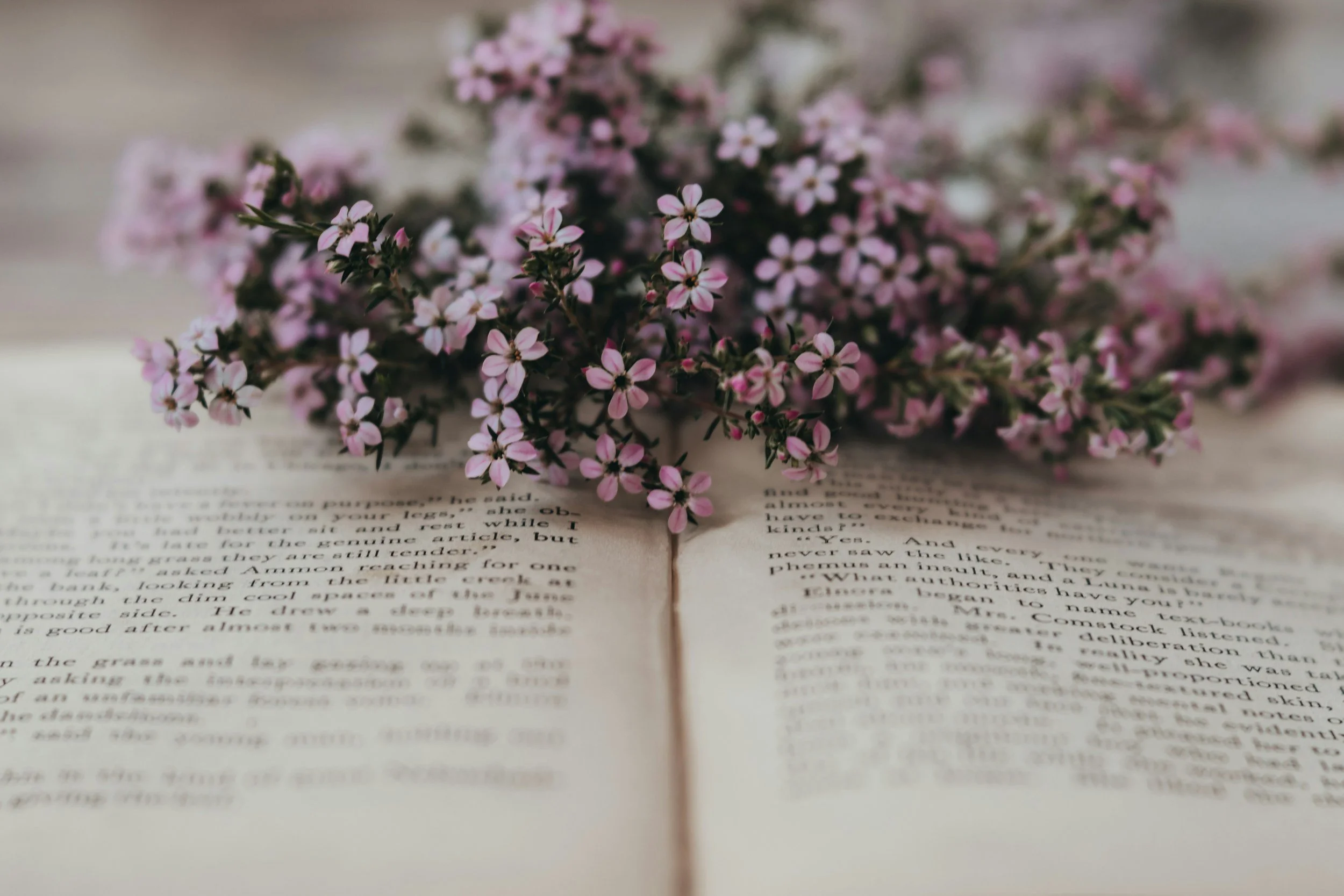 Pink and white small flowers placed on open pages of a book.