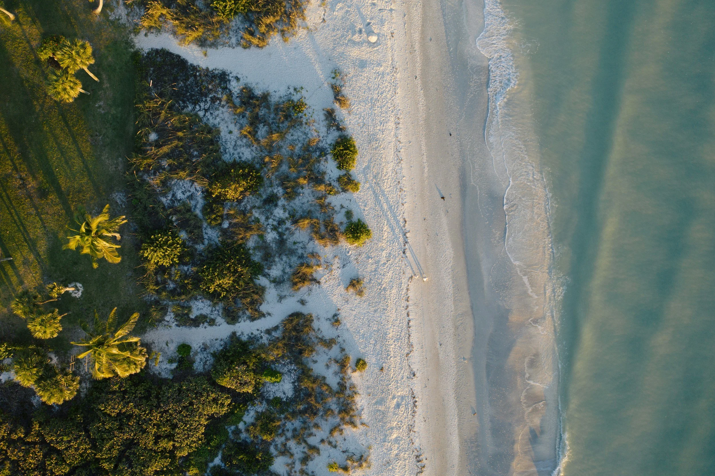 An aerial view of a sandy beach with turquoise water, lined with green tropical trees and vegetation.
