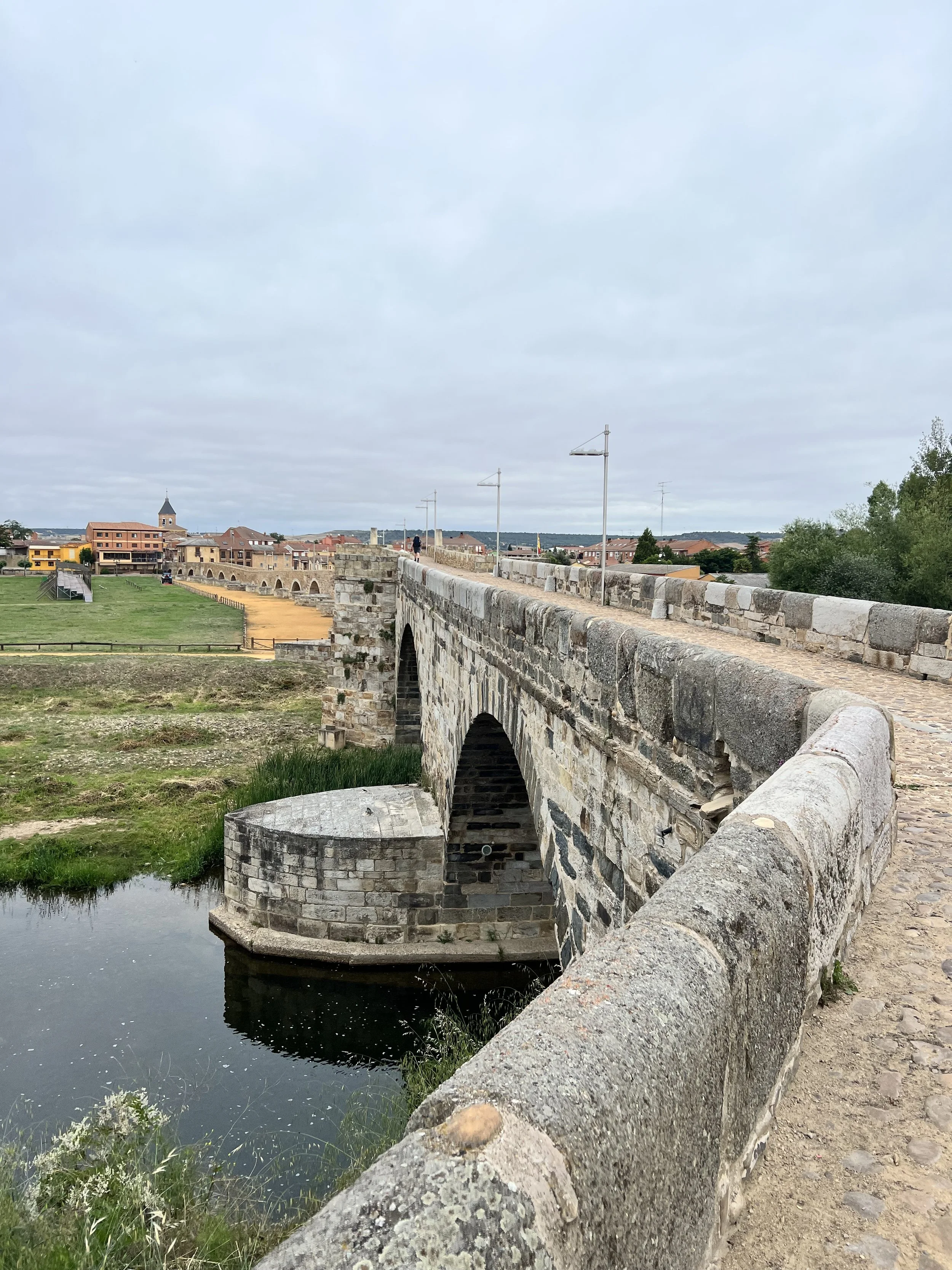 IMG_8799.jpeg