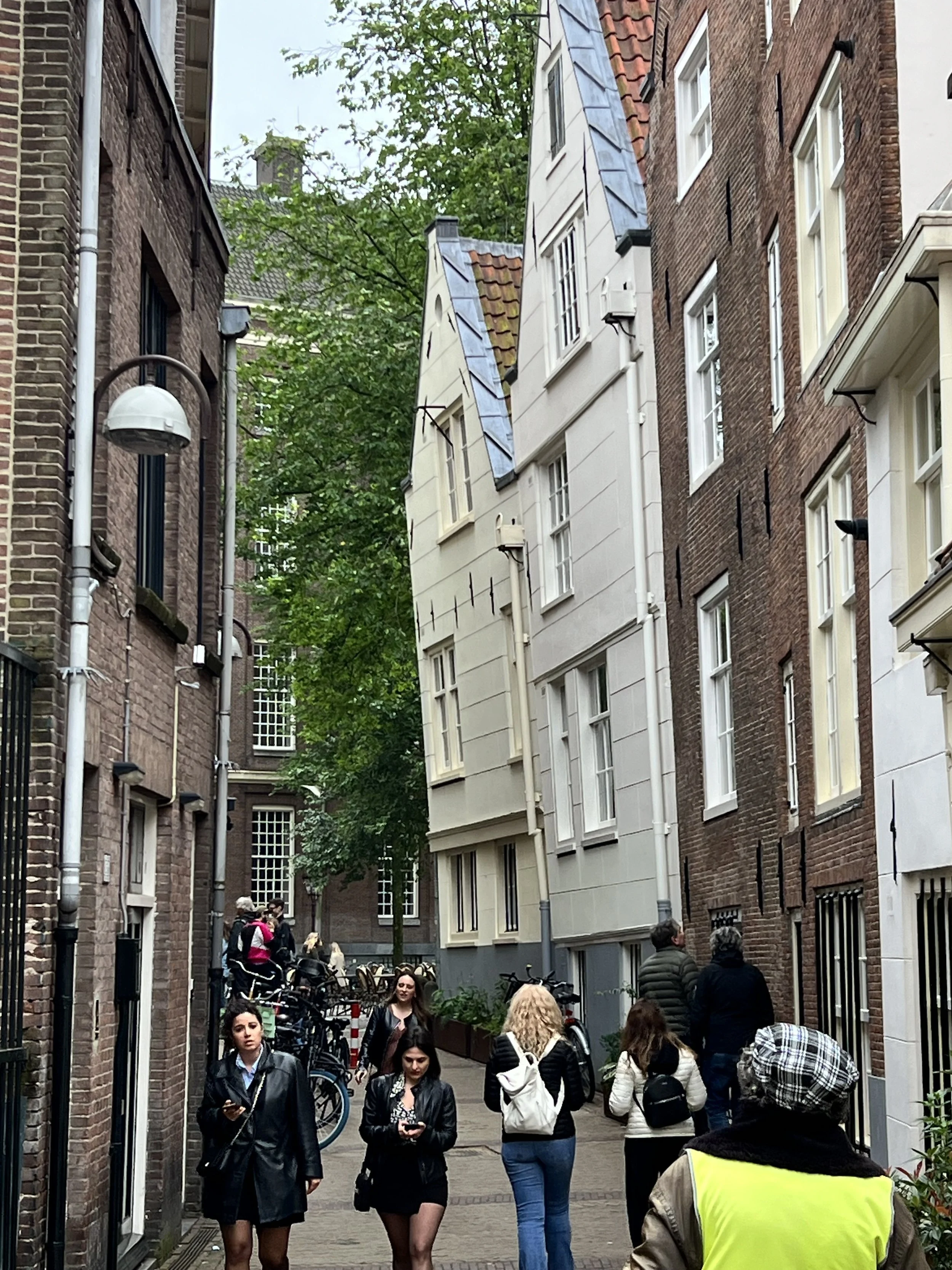 IMG_7979.jpeg
