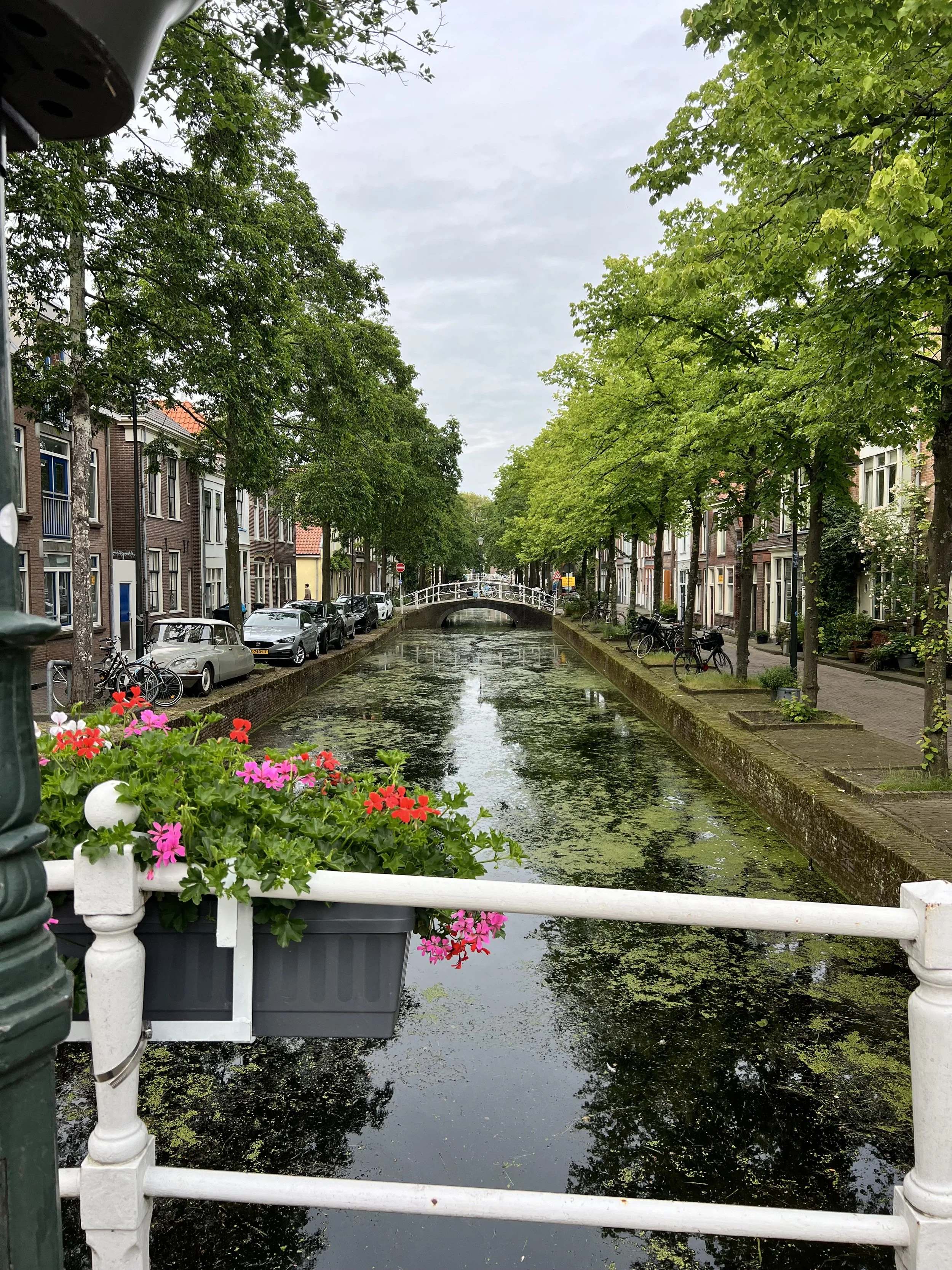 The Netherlands 2024