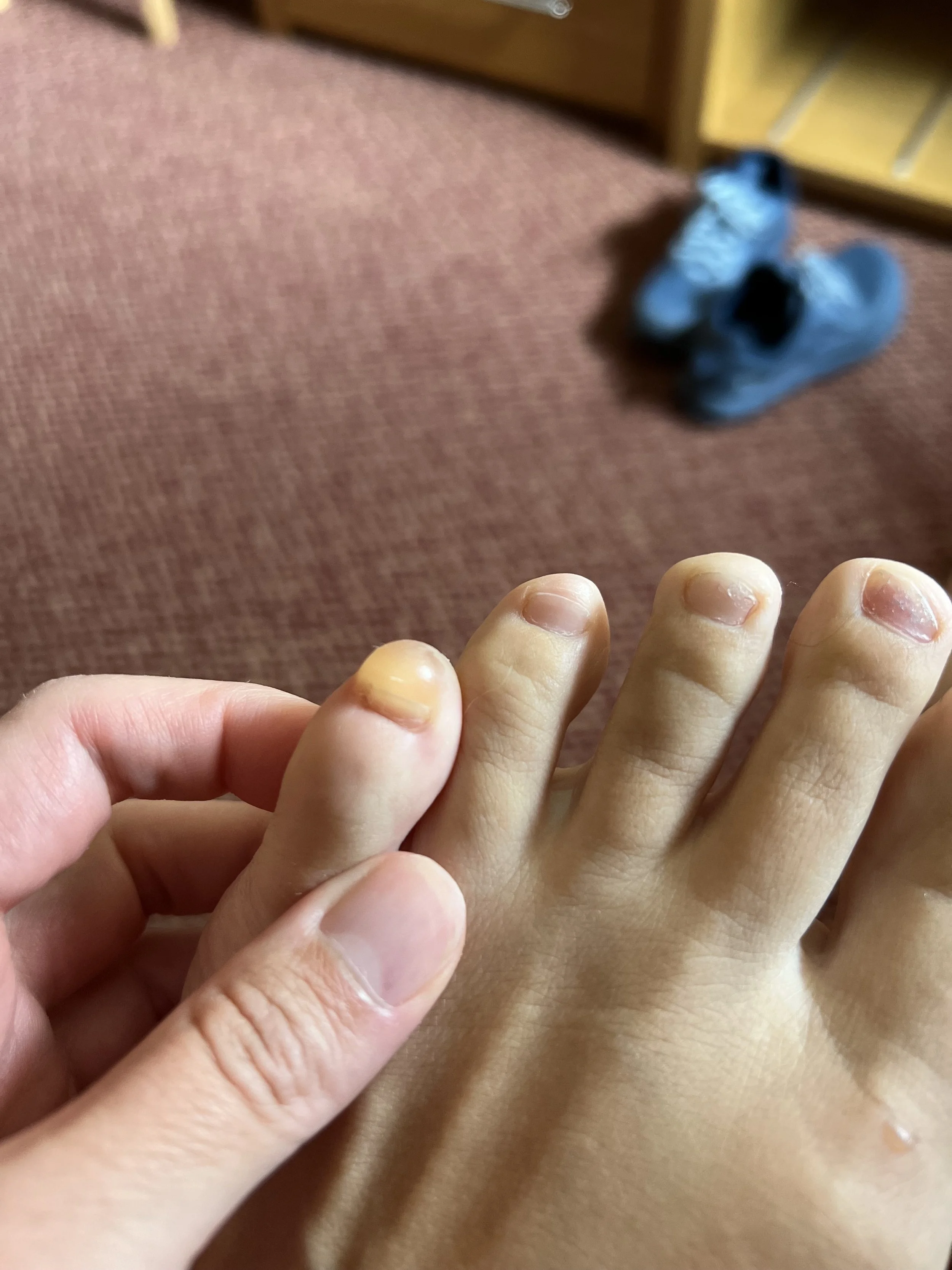 IMG_7627.jpeg