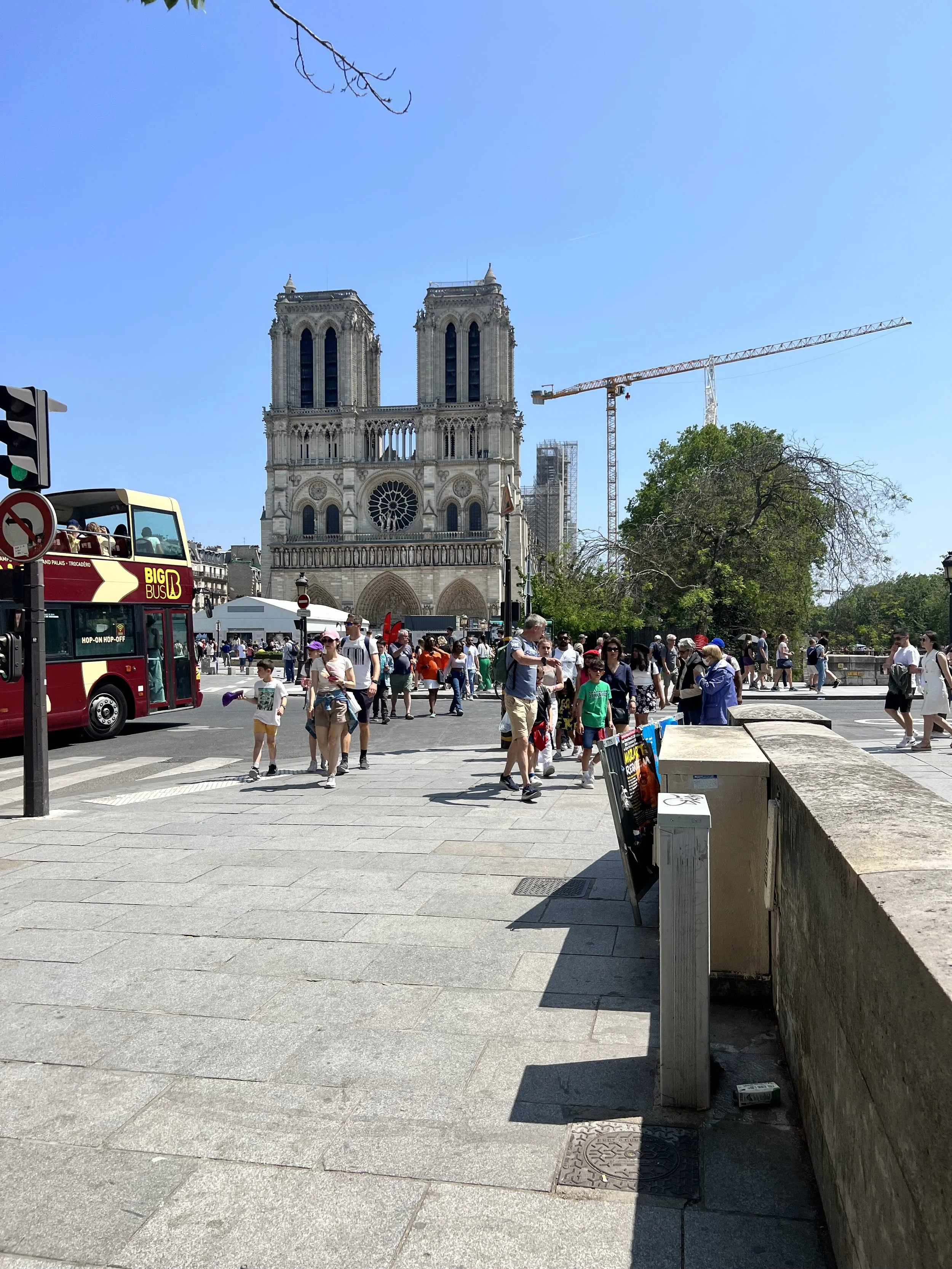 IMG_7638.jpeg