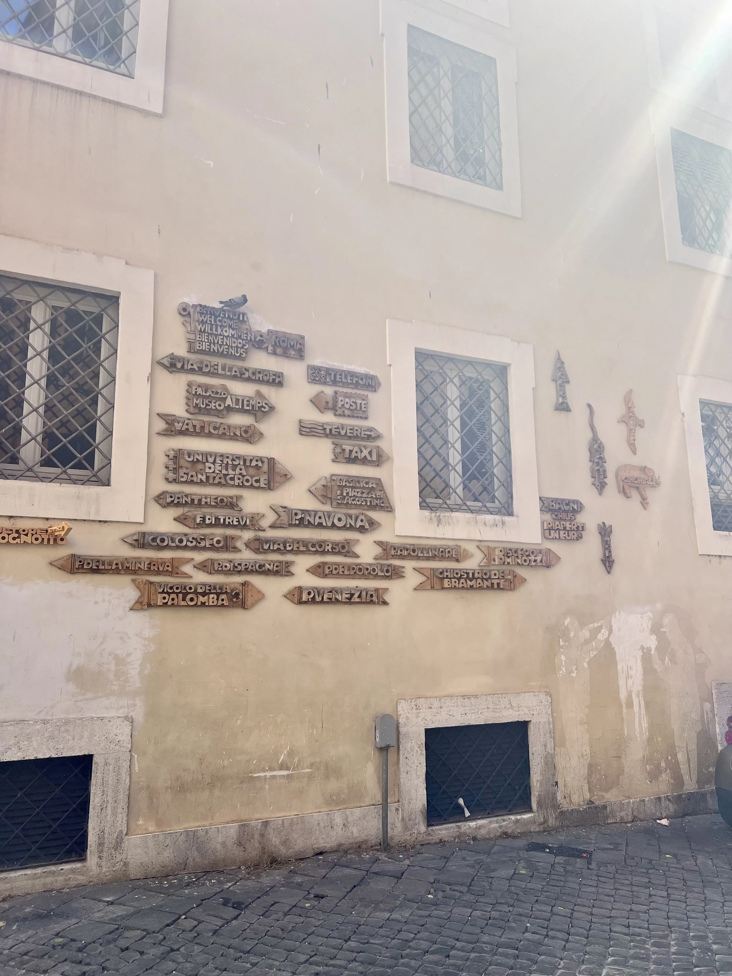 IMG_0181.jpeg