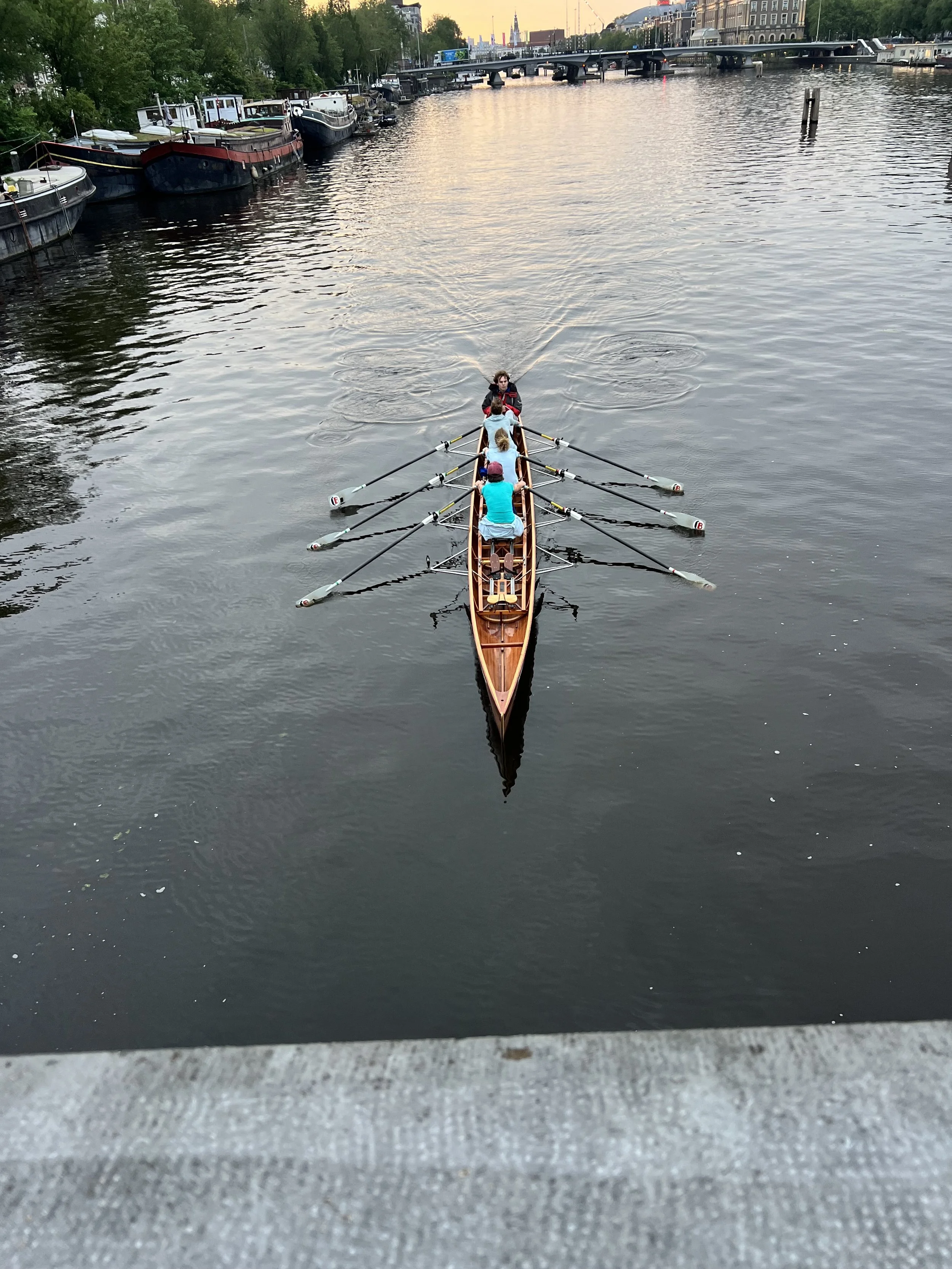 IMG_8083.jpeg