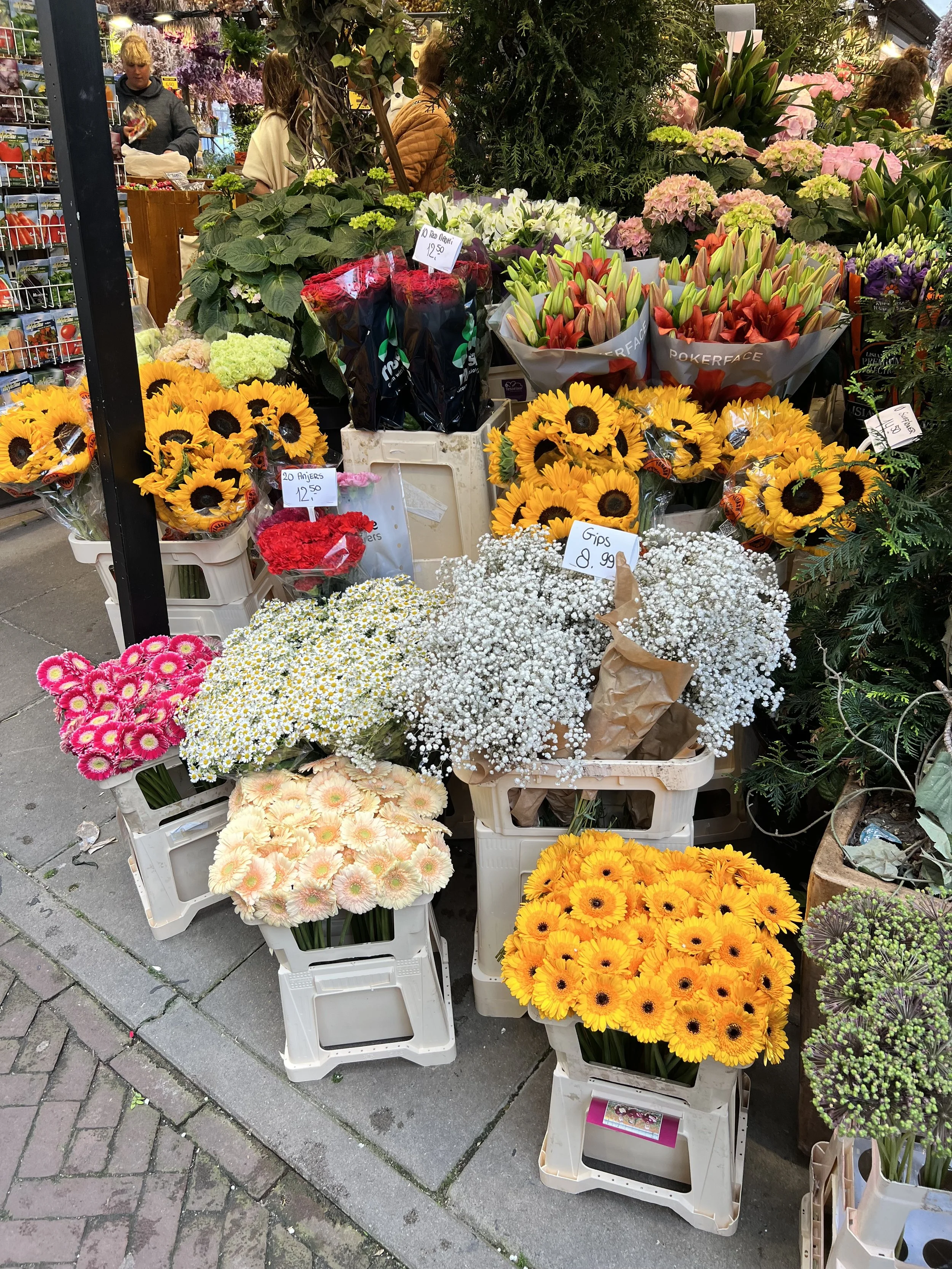 IMG_7978.jpeg