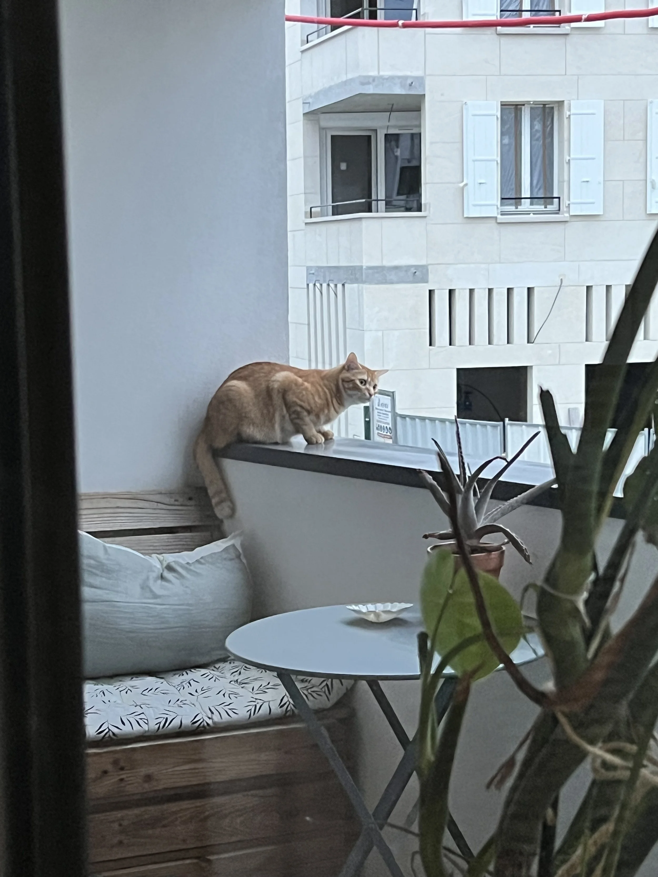 IMG_0362.jpeg