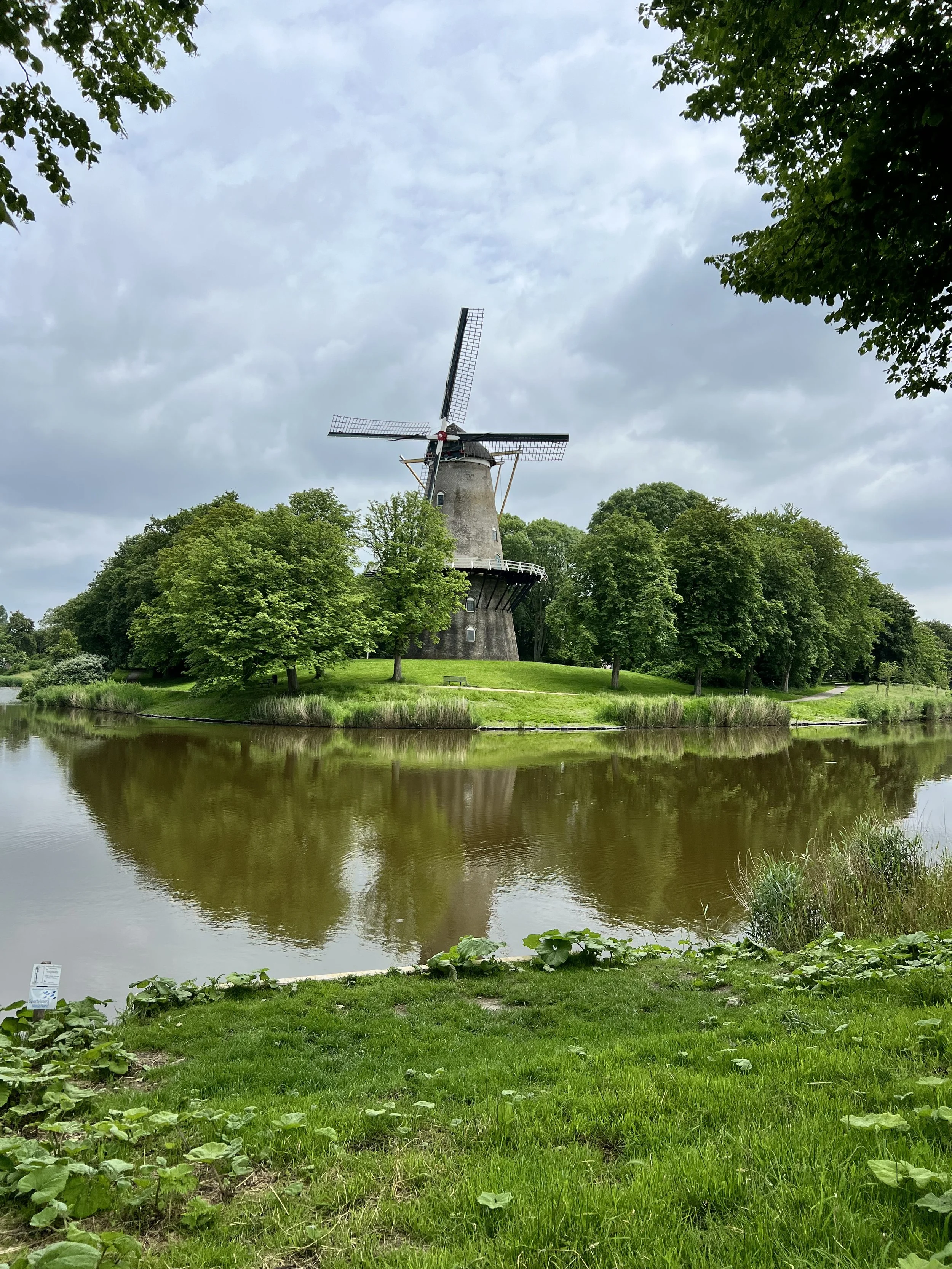 IMG_8023.jpeg