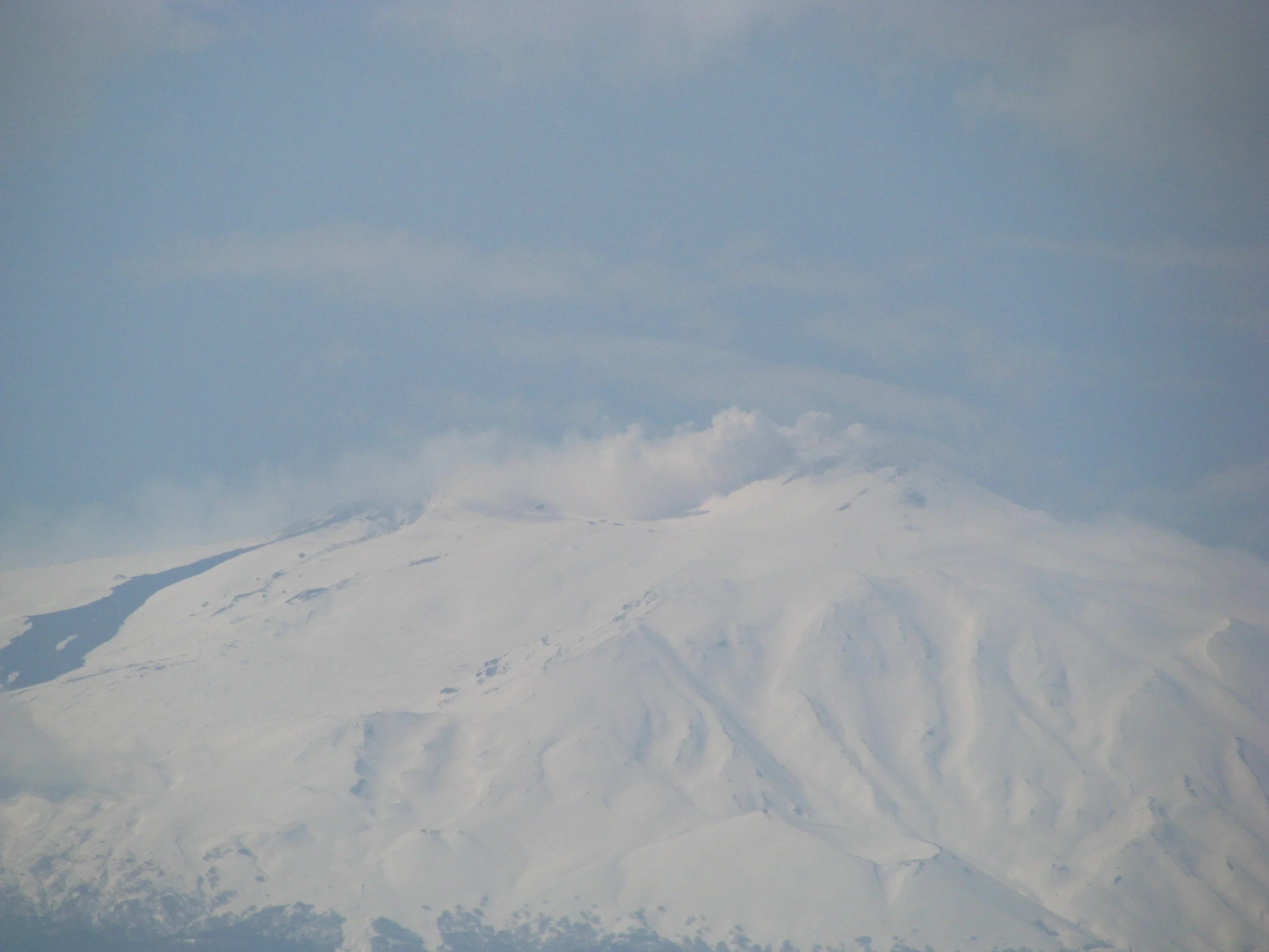 IMG_2656.jpeg