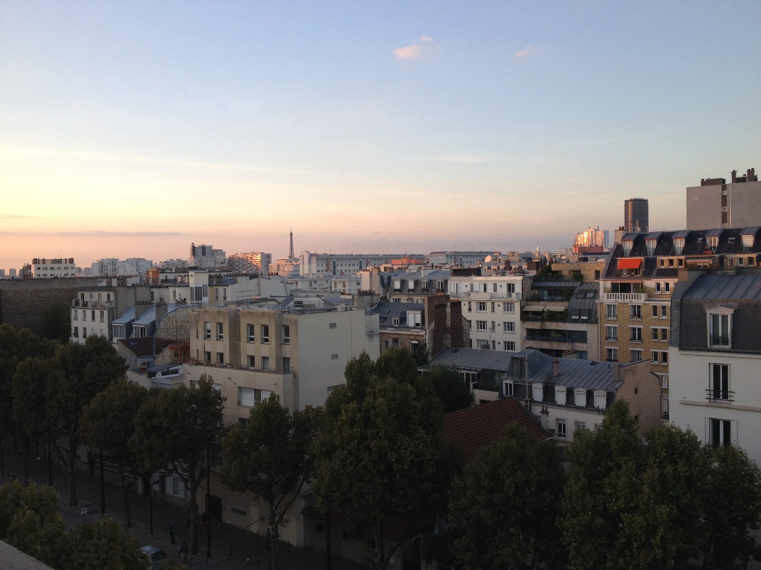 IMG_2795.jpeg