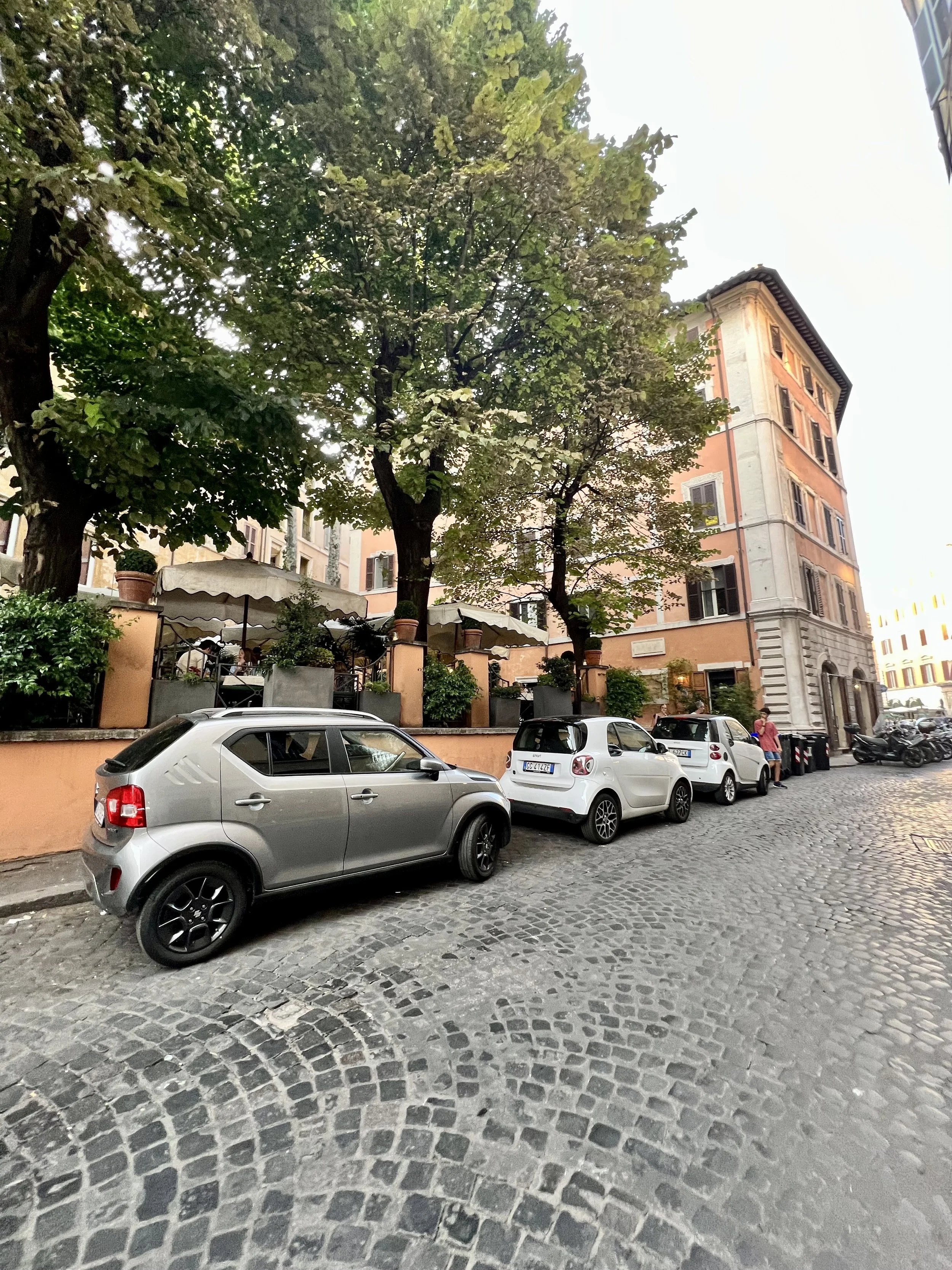 IMG_0008.jpeg