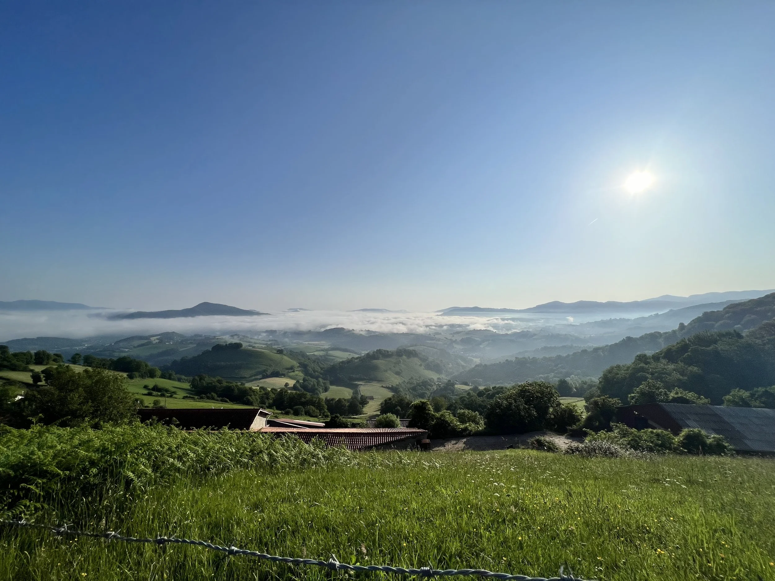 IMG_7791.jpeg