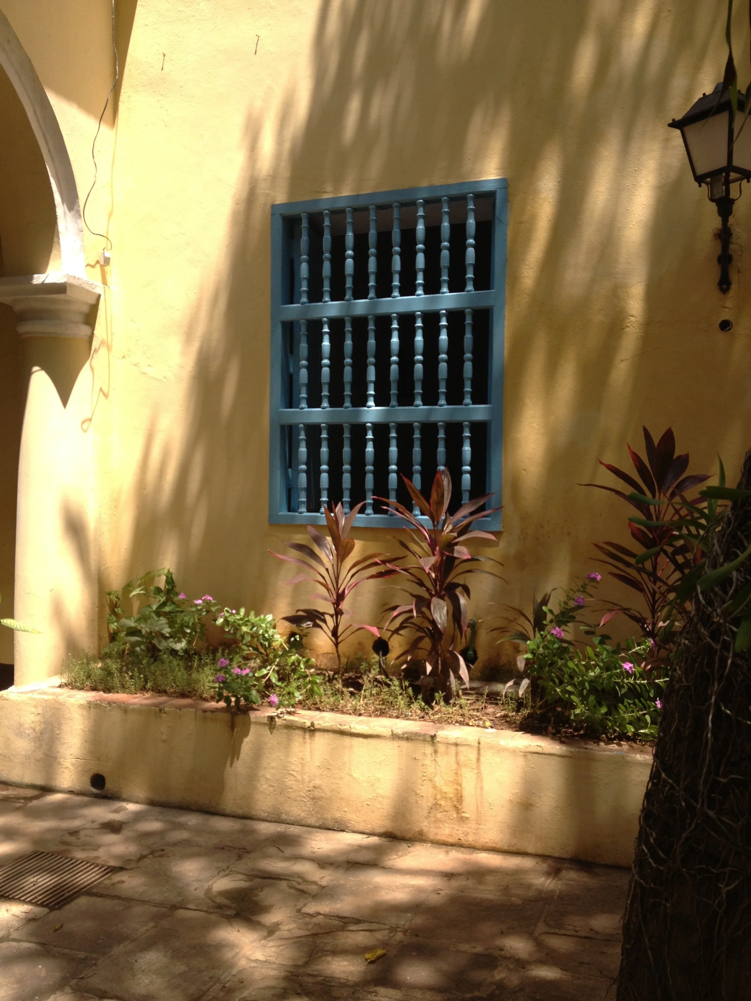 IMG_1781.jpeg