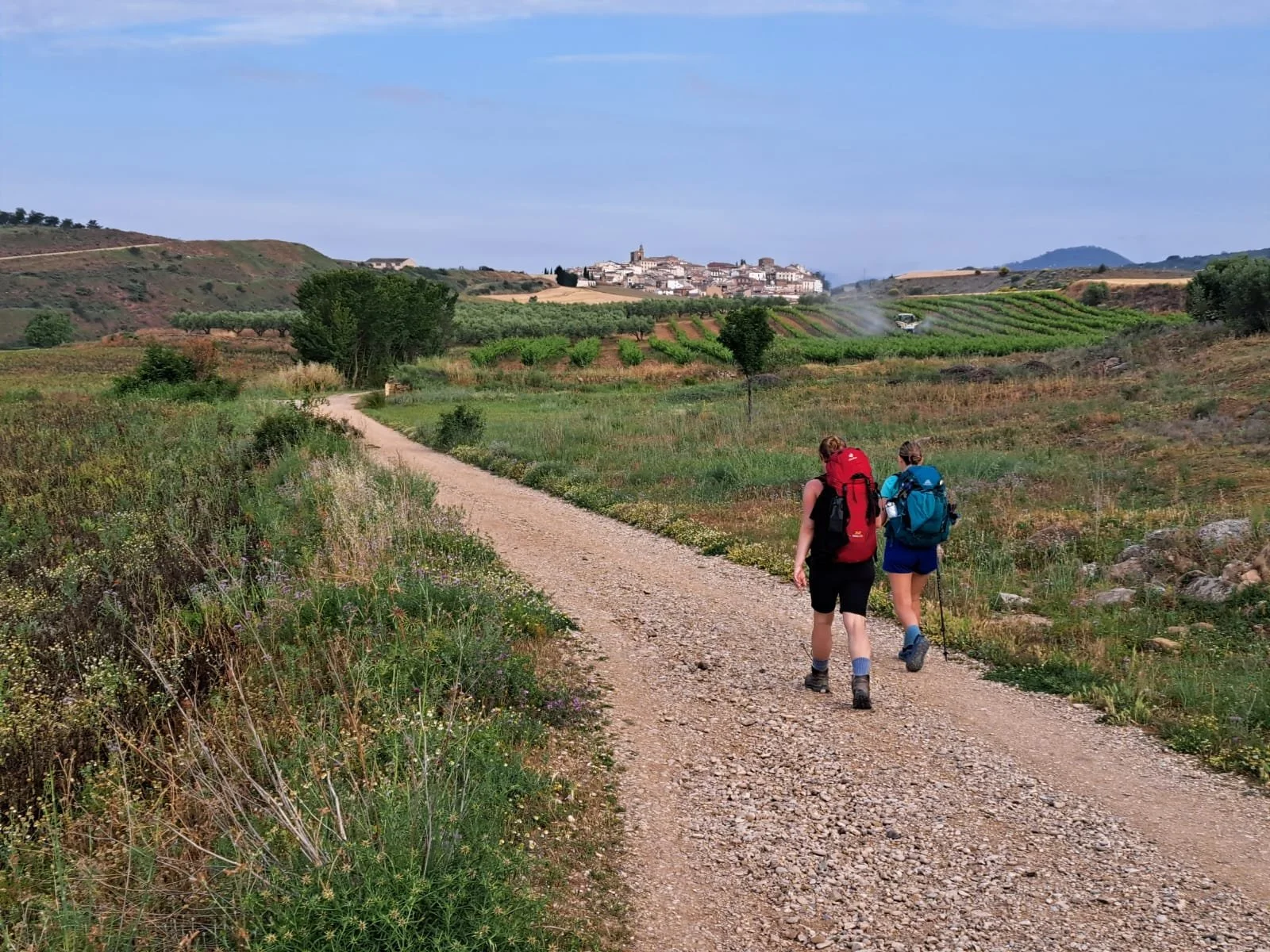 Walking the Camino de Santiago across northern Spain