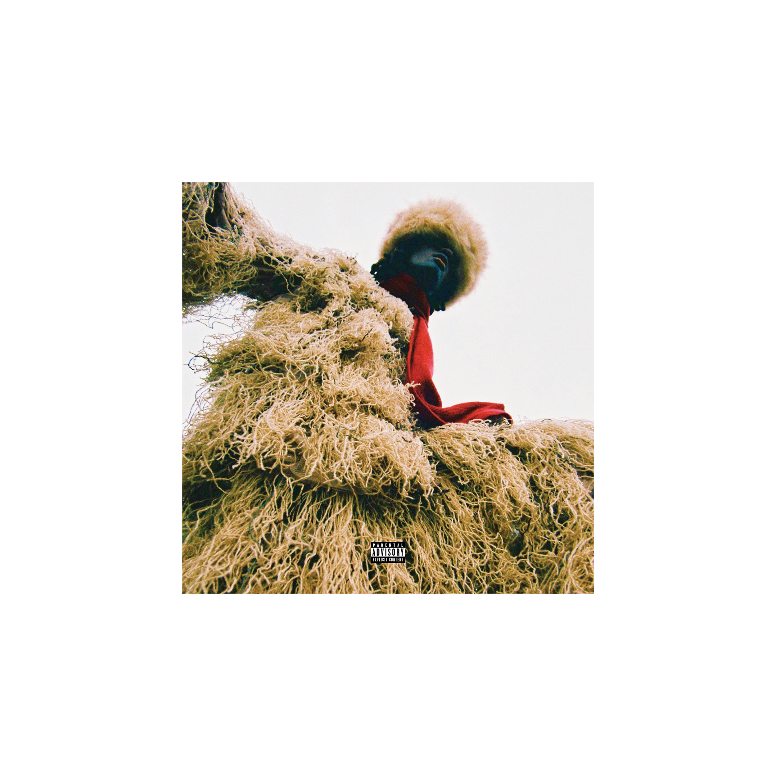 SASQUATCH CD & SIGNED POSTER