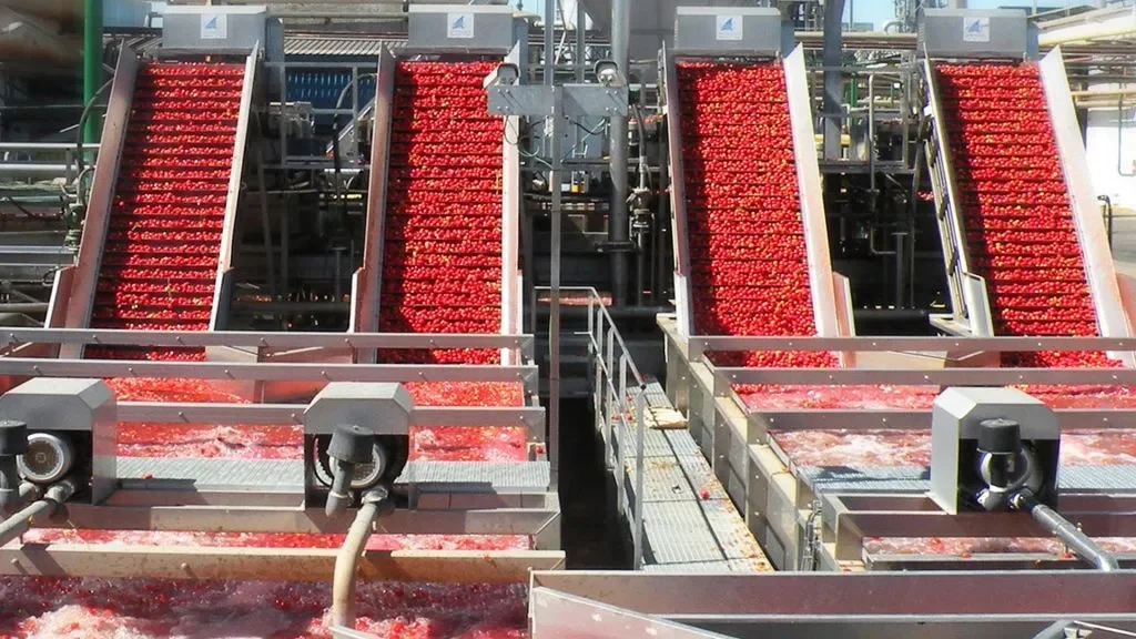 Complete lines for tomato paste processing for Tukas