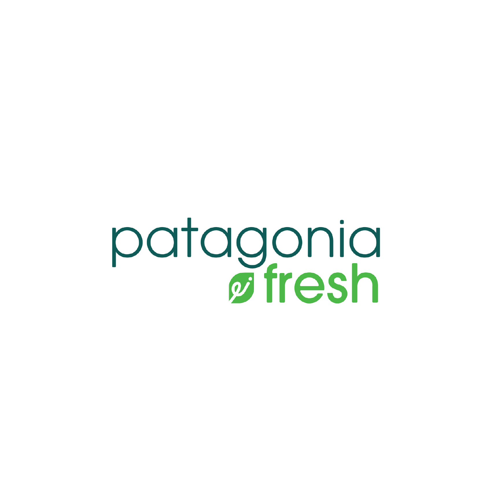 Patagonia e fresh logo with green leaf design.