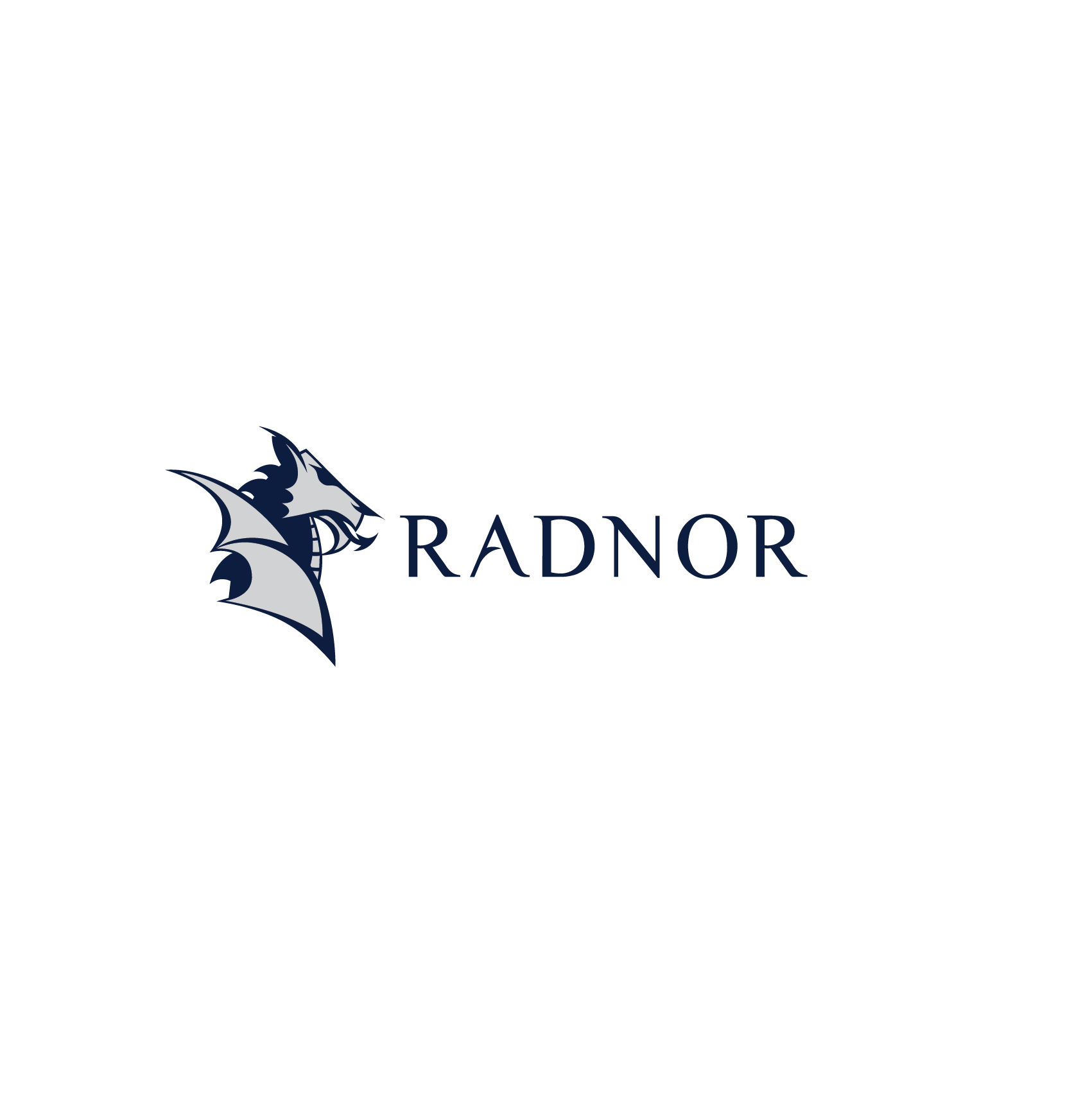 Company logo featuring a stylized dragon head with wings and the name 'Radnor' in elegant font.
