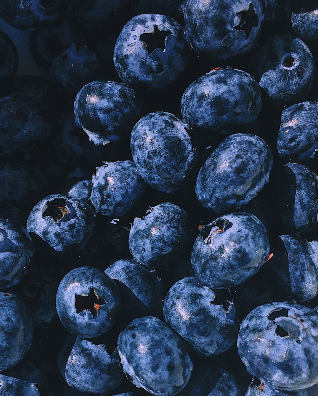 Close-up of fresh blueberries showing their dark blue color and textured surface.