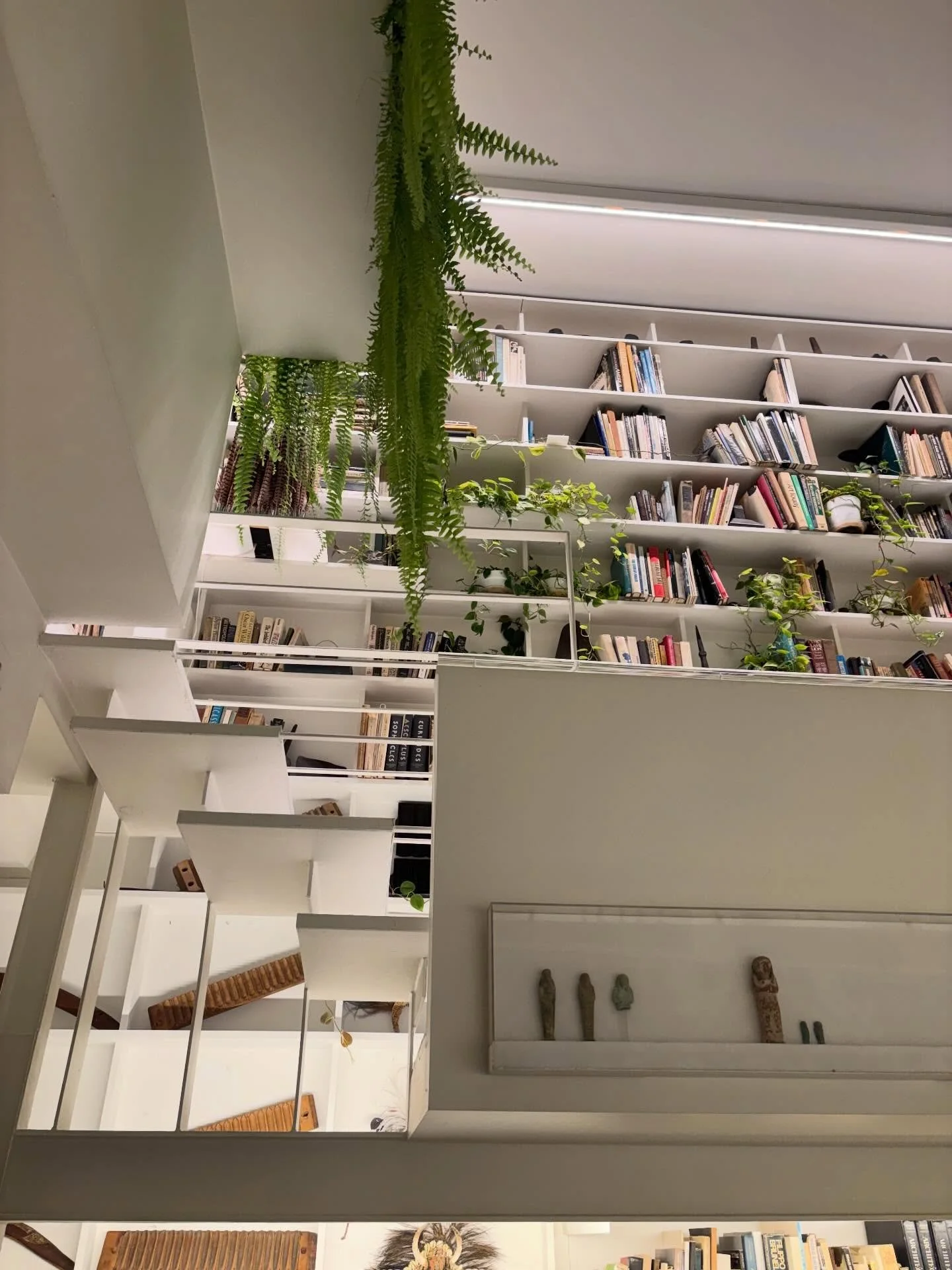 Friday night with Paul Rudolph